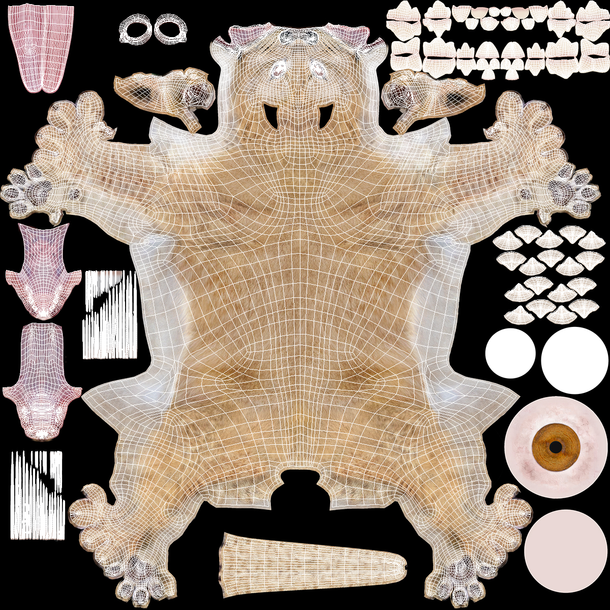 Lion Cub Fur Rigged 3D model