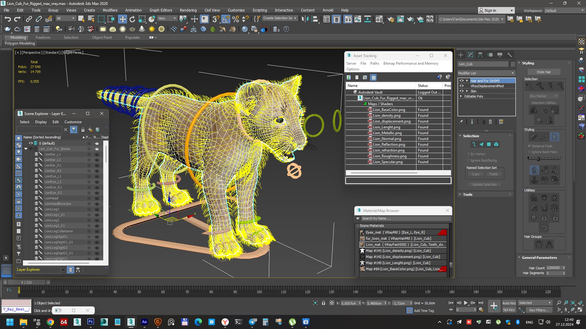 Lion Cub Fur Rigged 3D model