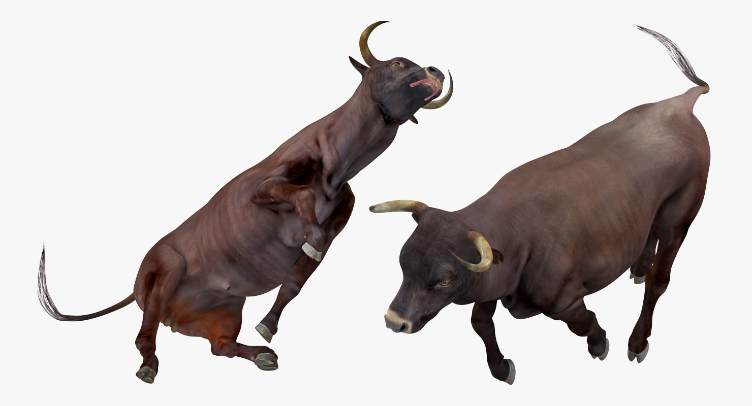 Bull Running Pose 3D