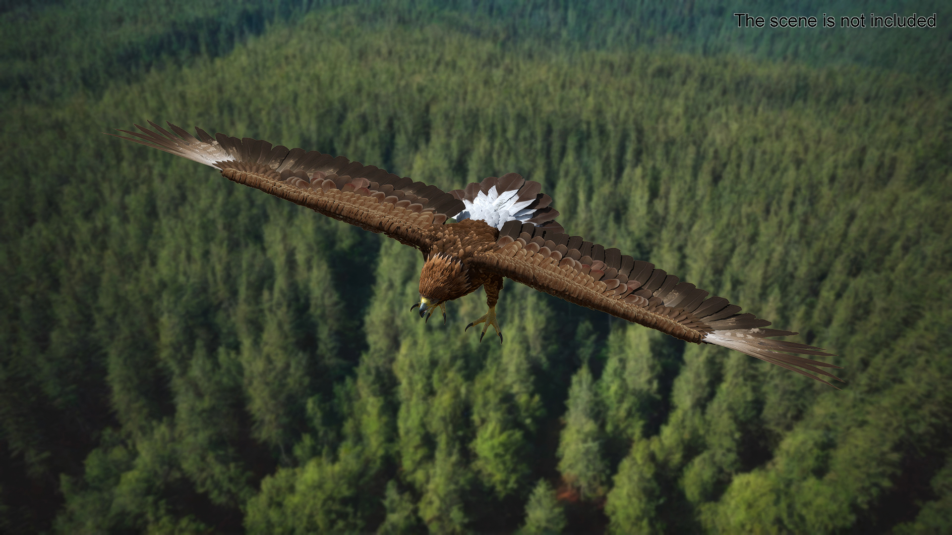 Realistic Golden Eagle T Pose 3D model