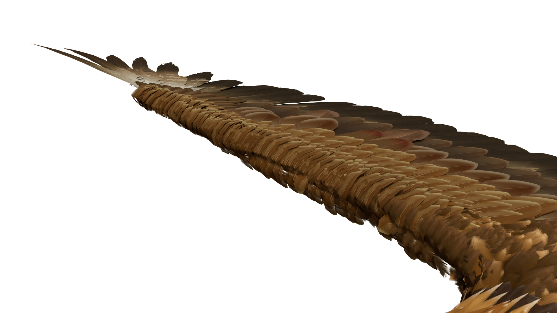 Realistic Golden Eagle T Pose 3D model