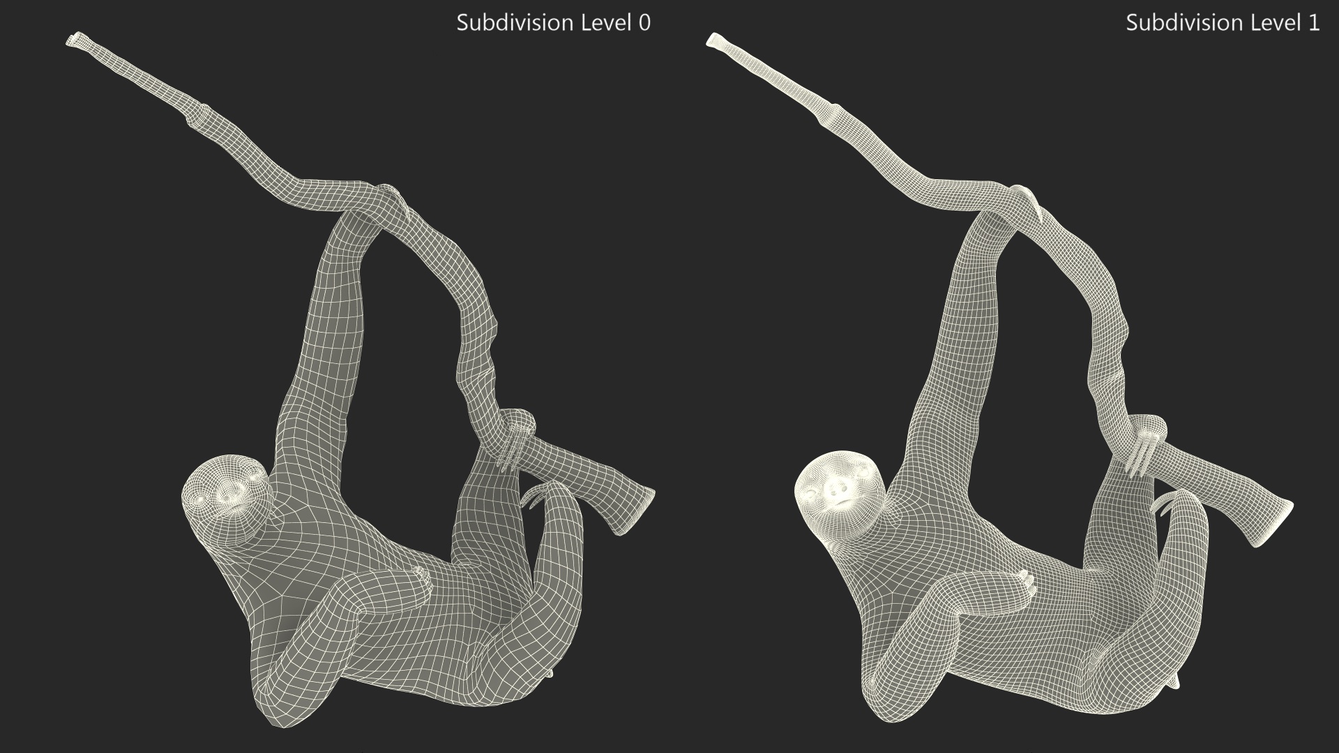 Sloth Hanging from a Branch 3D