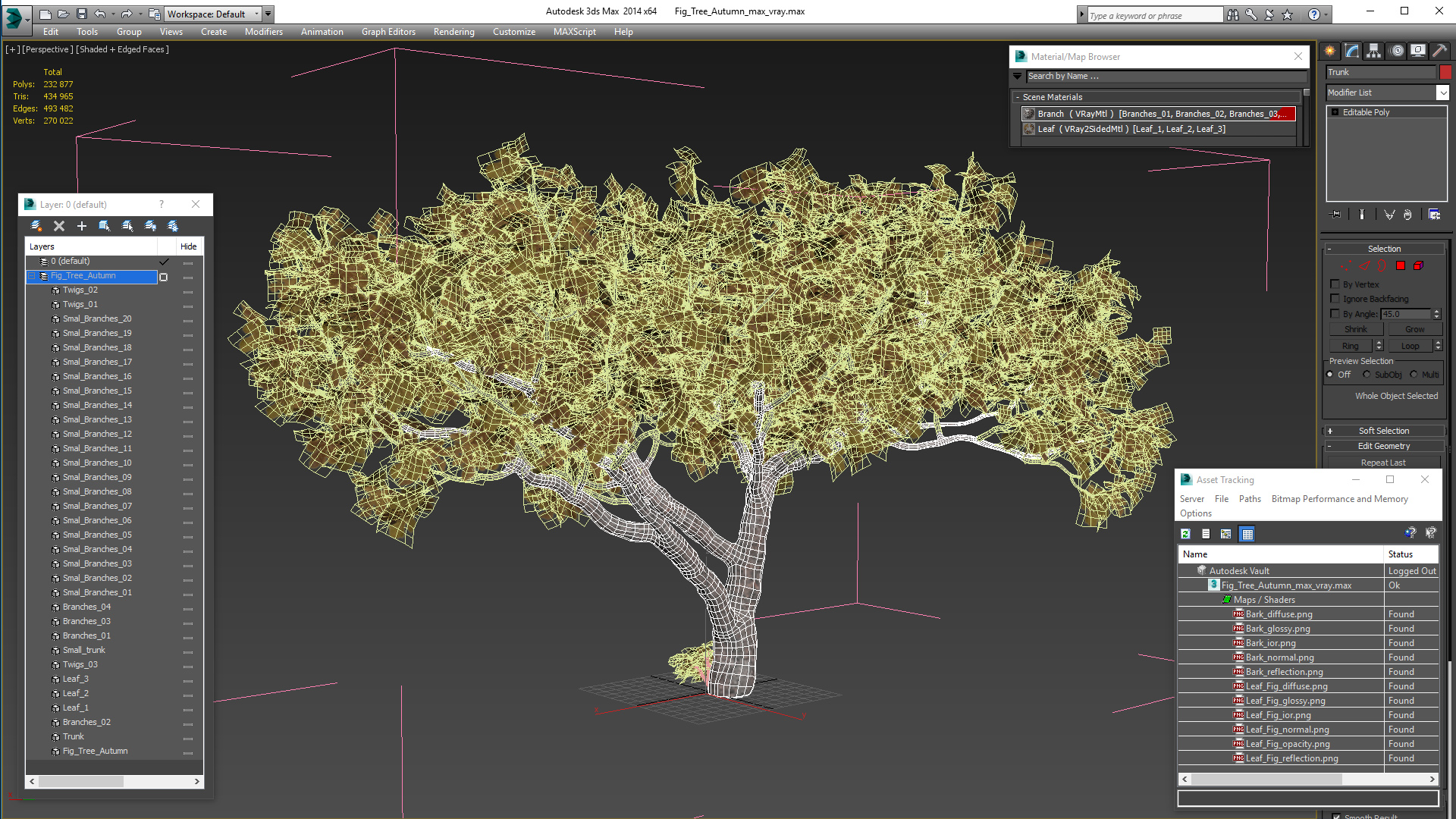 3D model Fig Tree Autumn