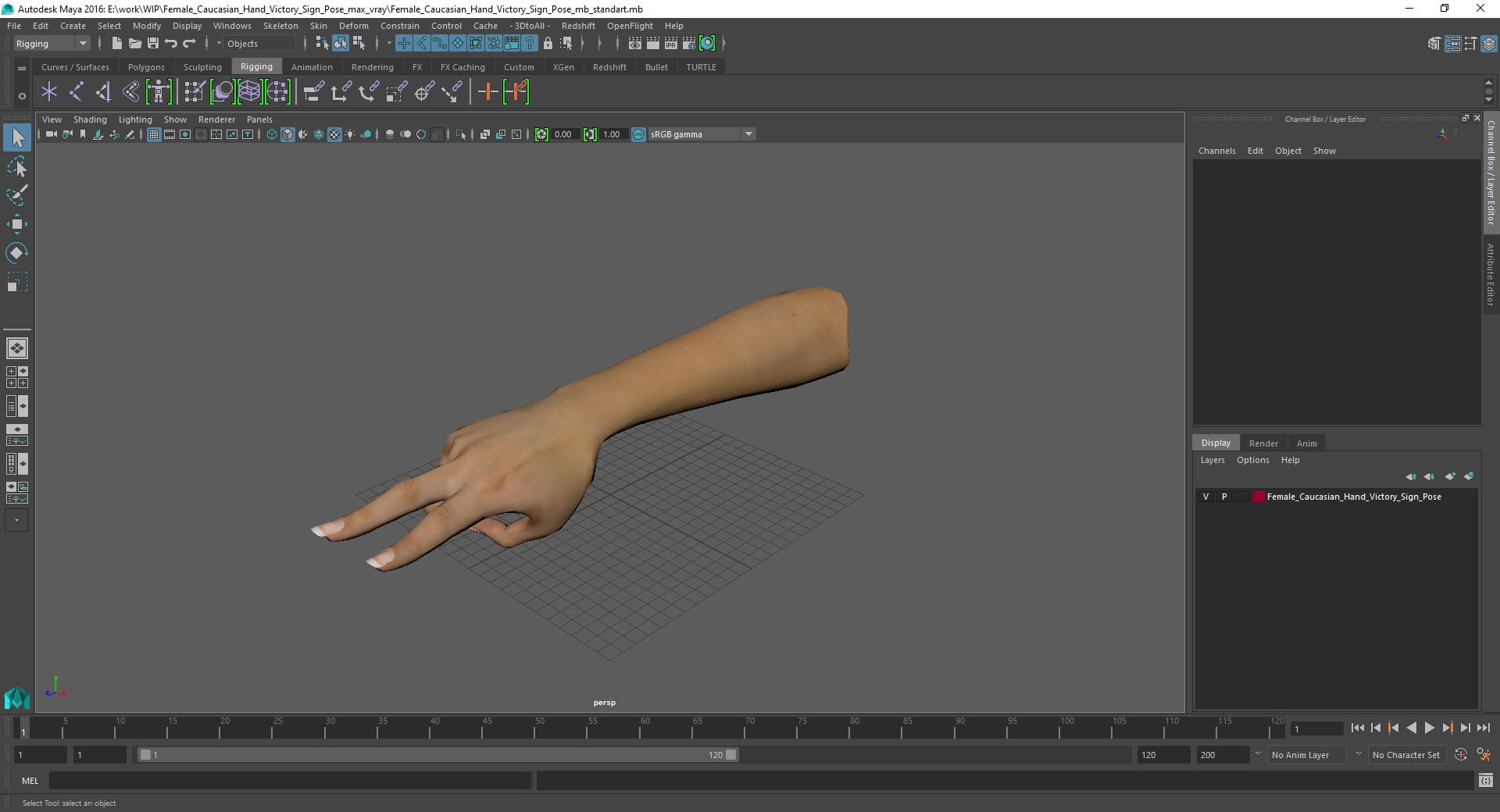 Female Caucasian Hand Victory Sign Pose 3D model