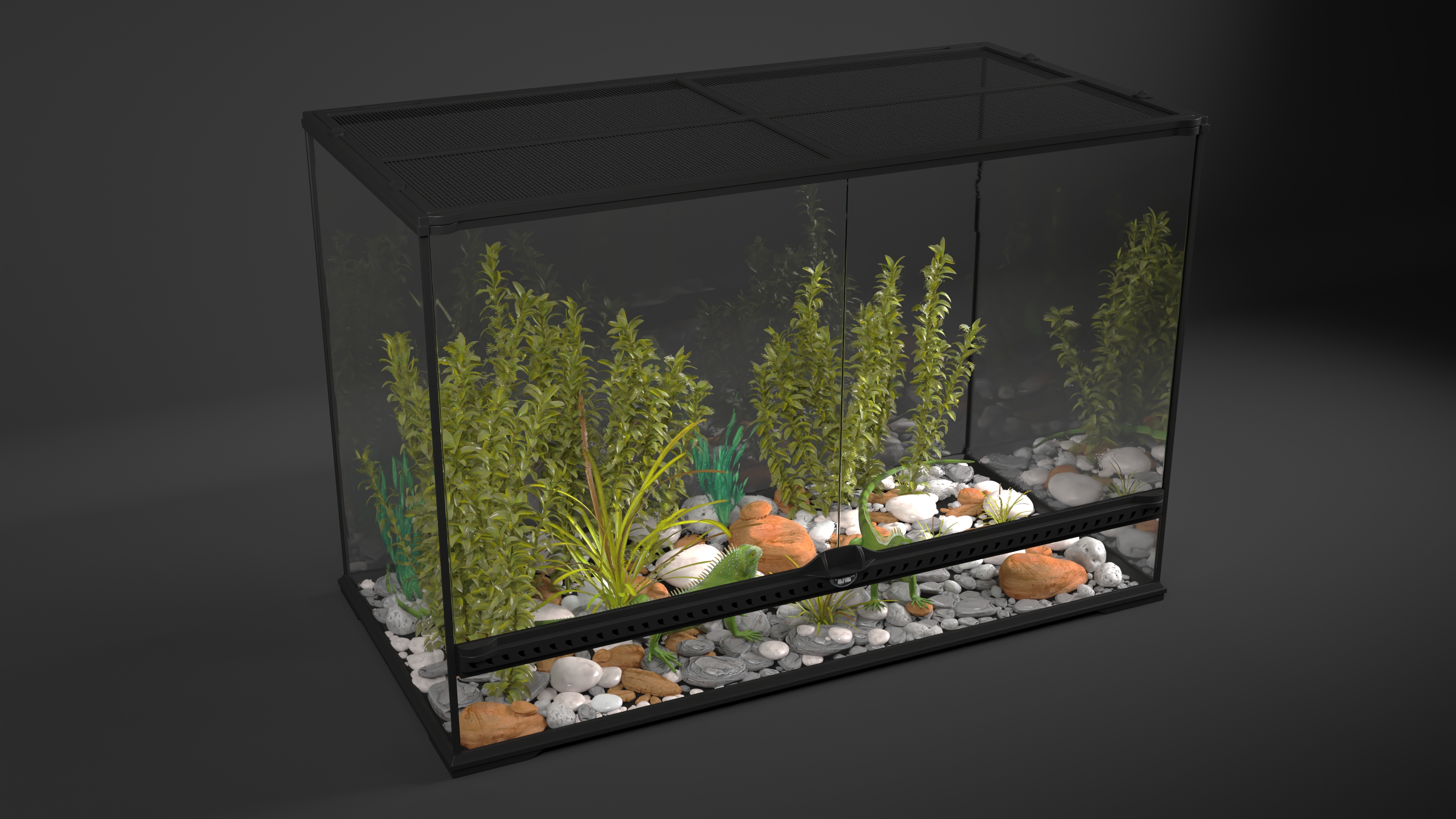 3D model Large Terrarium with Plants Garden and Two Iguanas