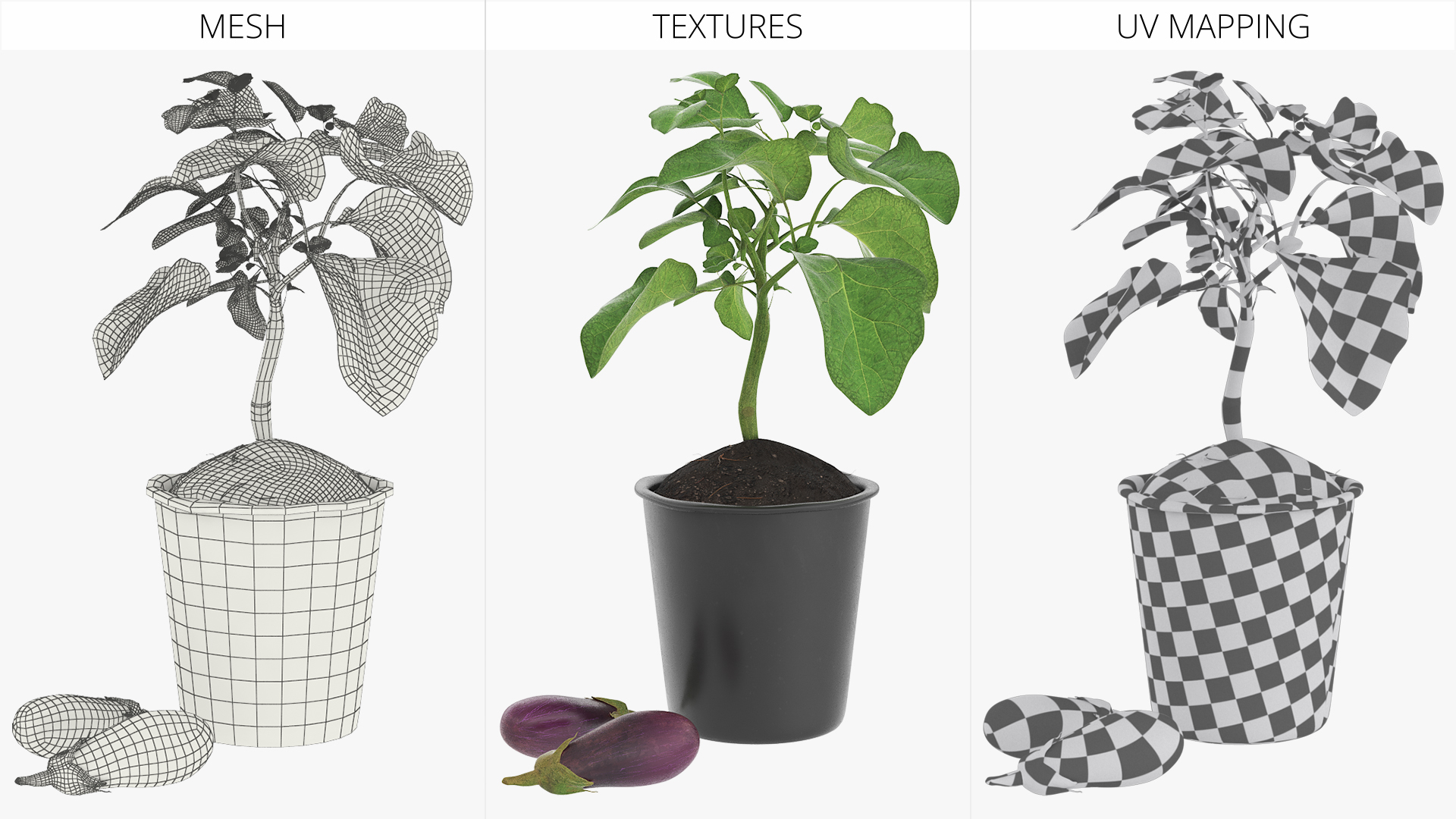 Eggplant Plant in Plastic Pot Green, view 6