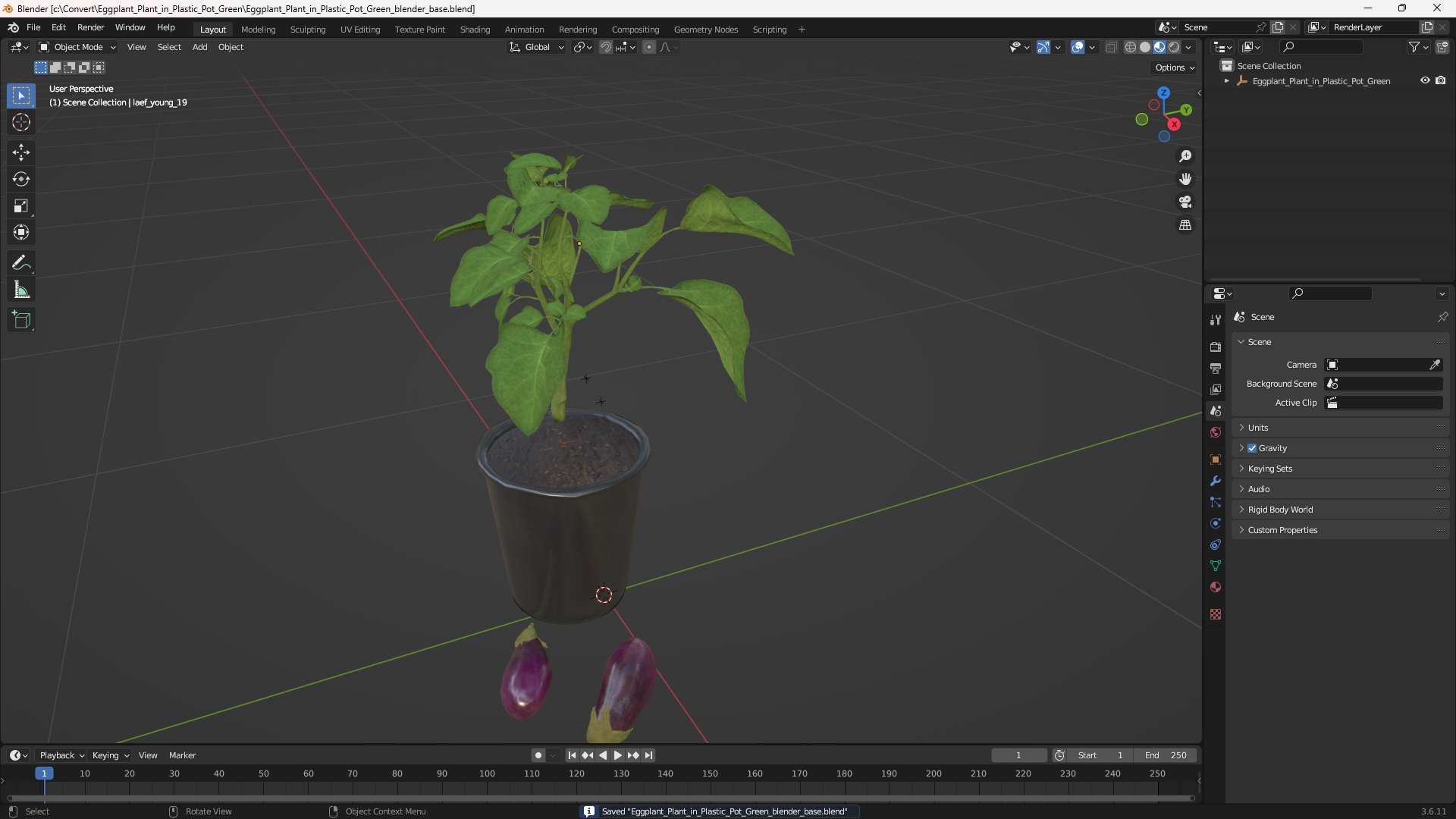 Eggplant Plant in Plastic Pot Green, view 9