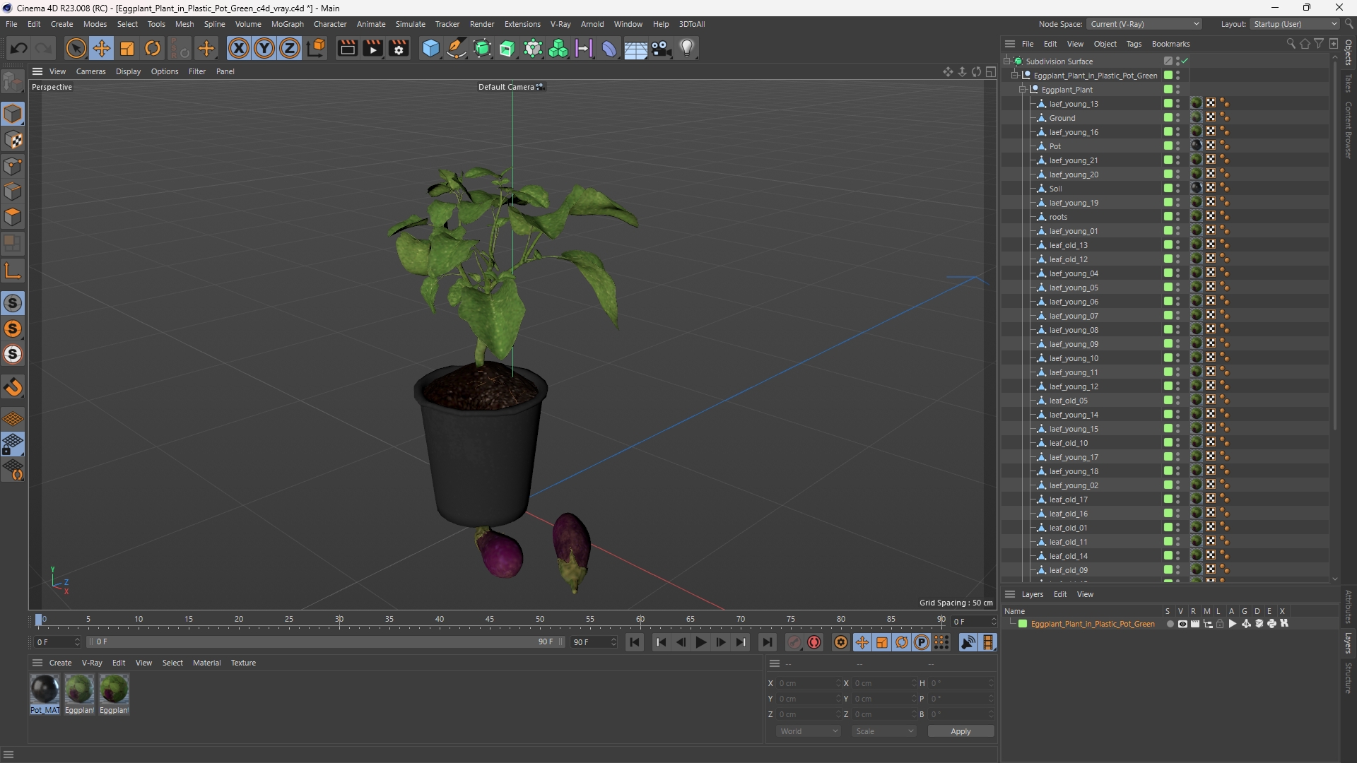 Eggplant Plant in Plastic Pot Green, view 11