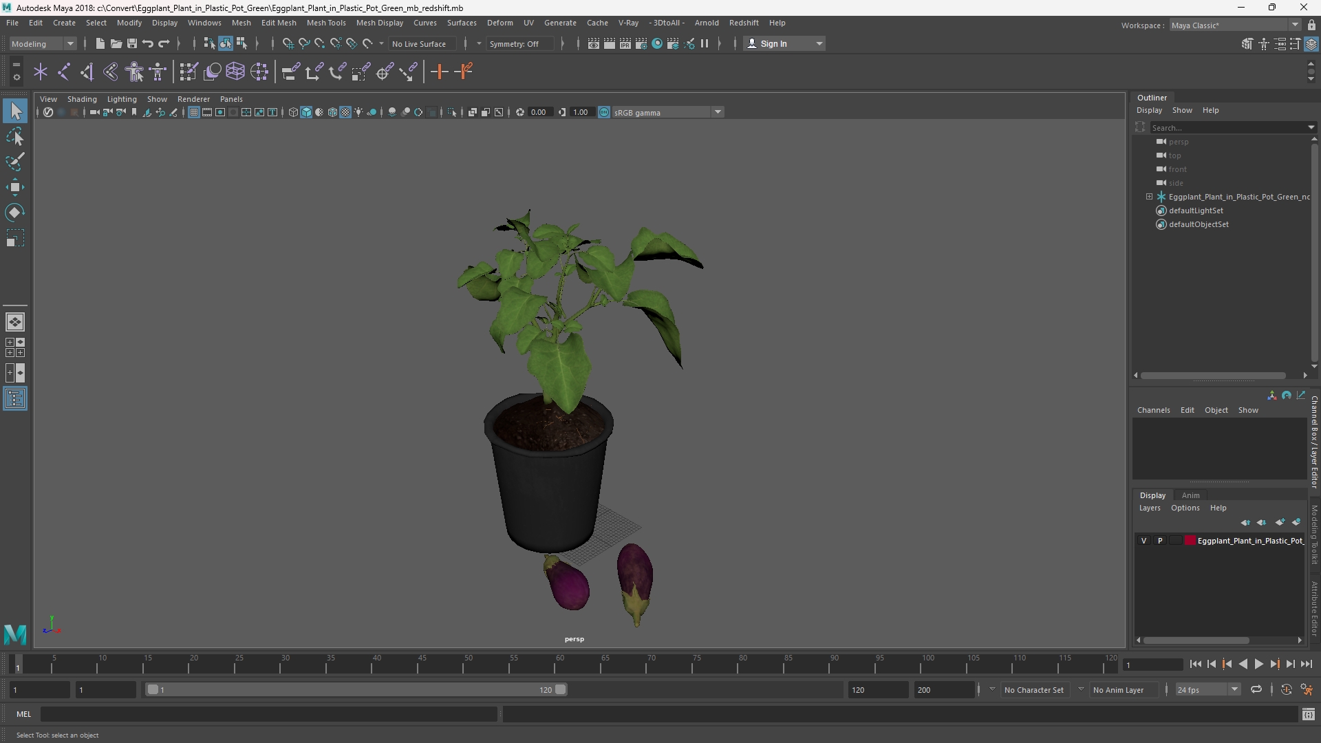 Eggplant Plant in Plastic Pot Green, view 10