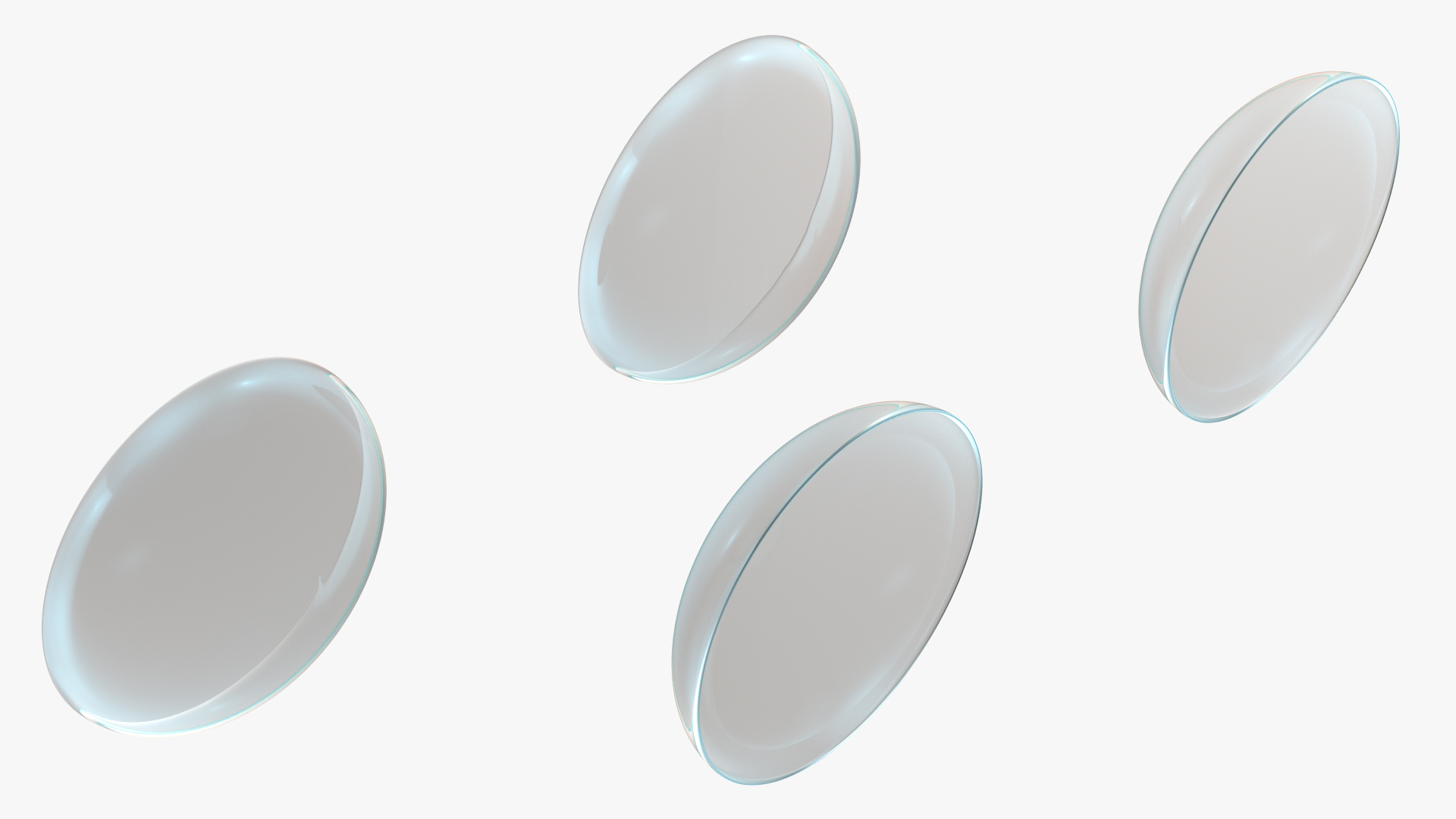 3D model Clear Contact Lenses