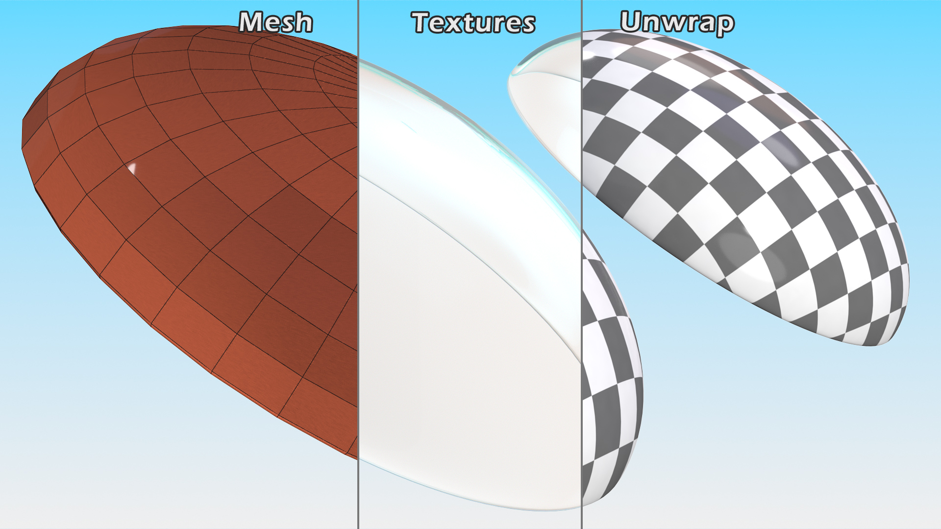 3D model Clear Contact Lenses
