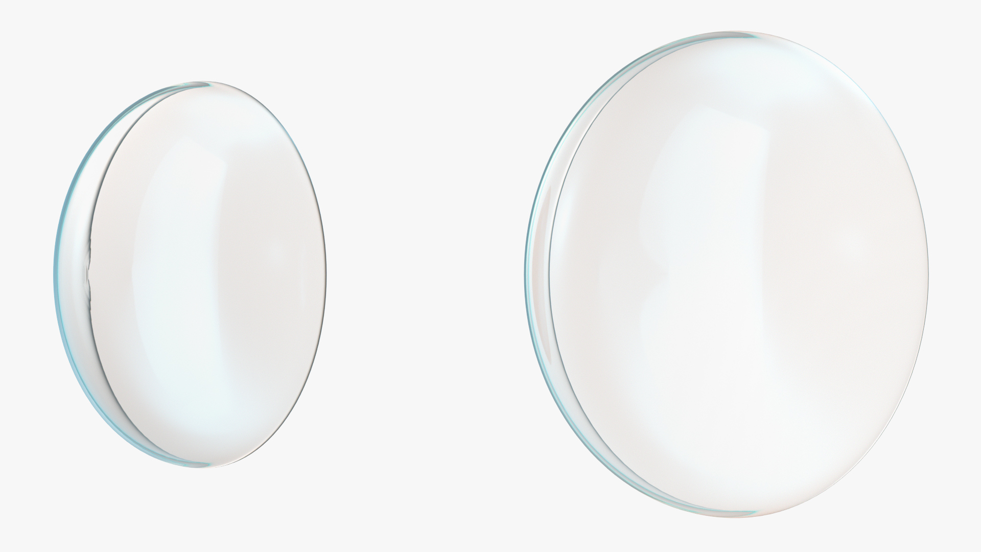 3D model Clear Contact Lenses