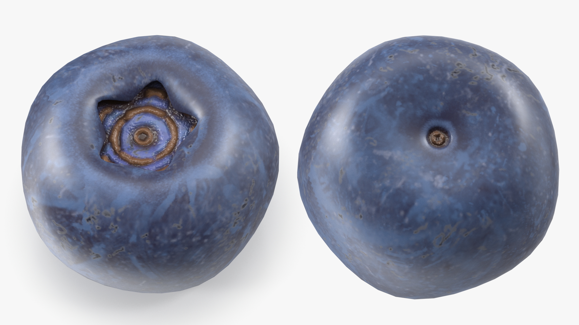 3D Single Blueberry