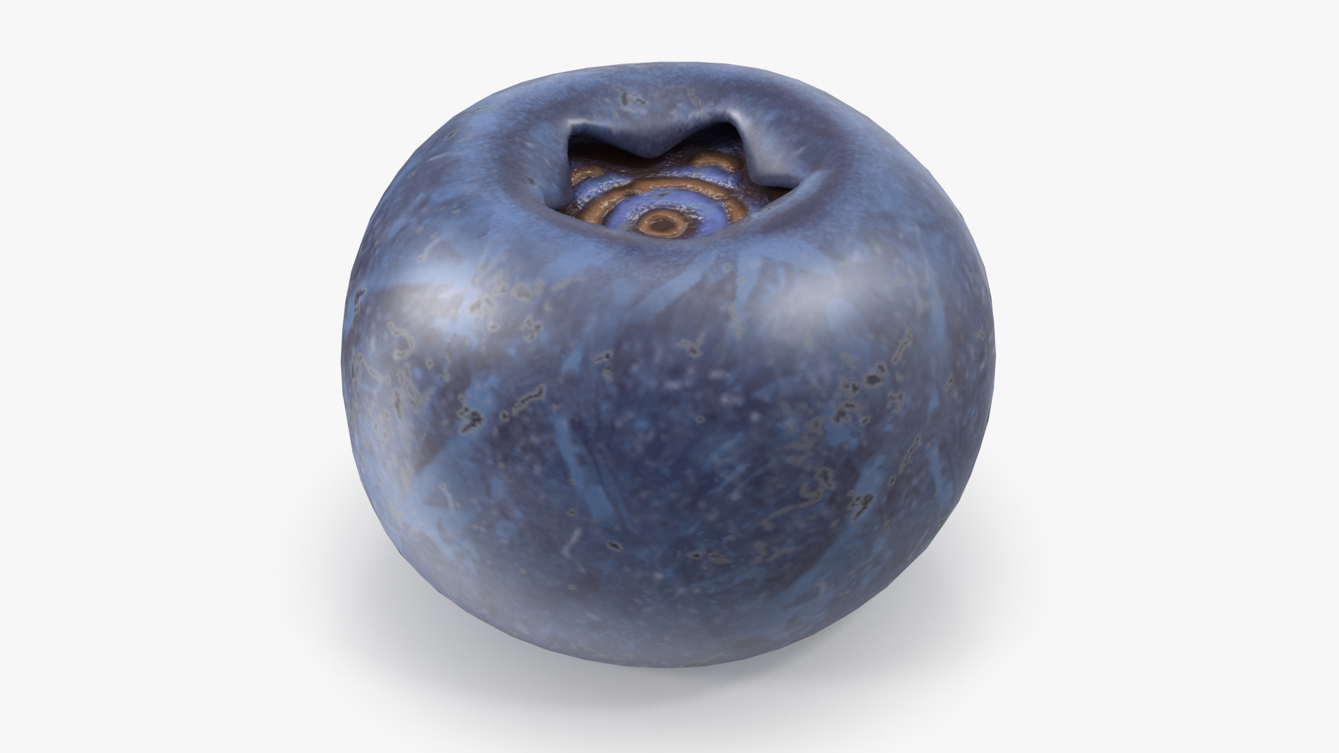 3D Single Blueberry