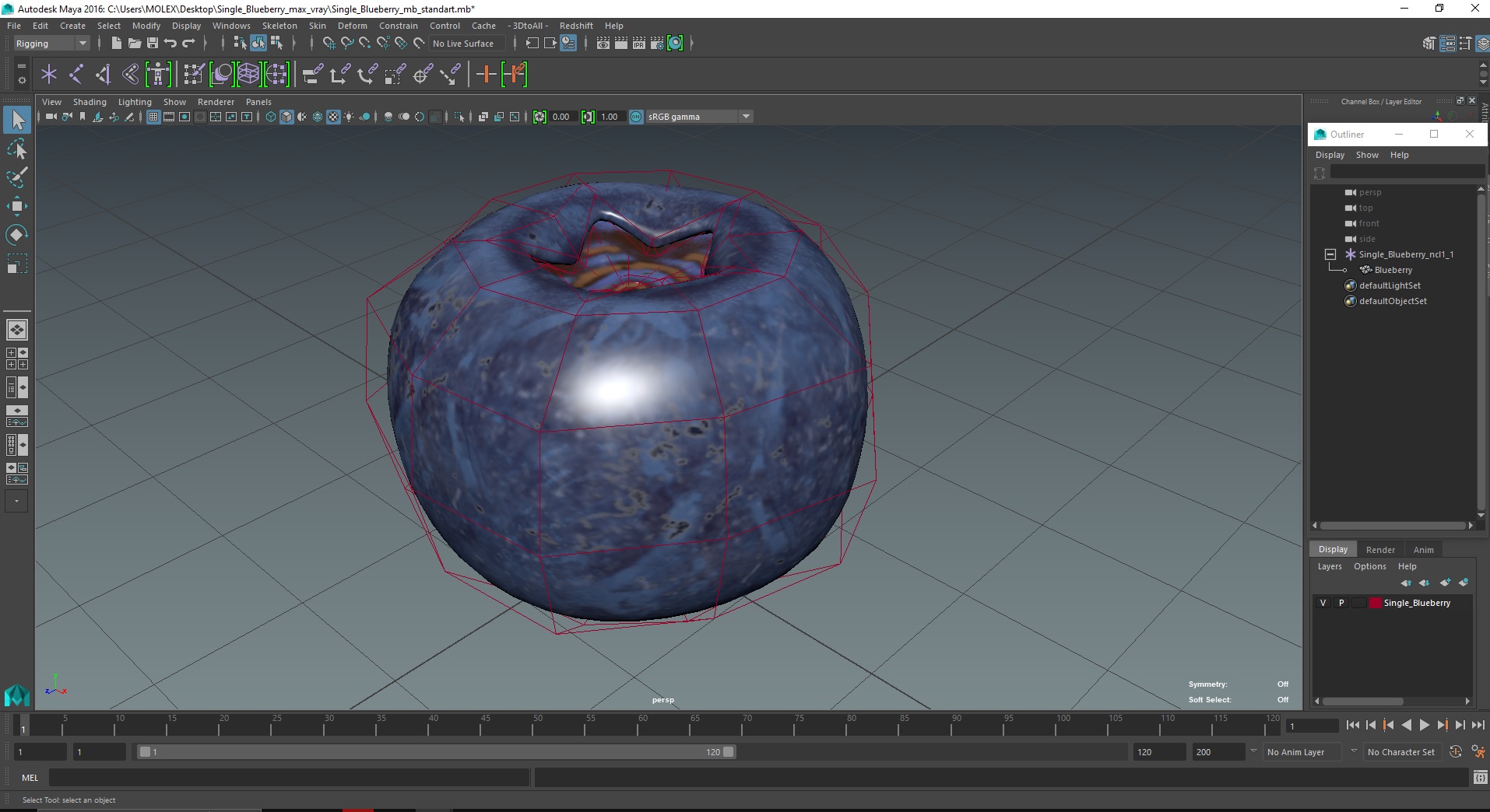 3D Single Blueberry