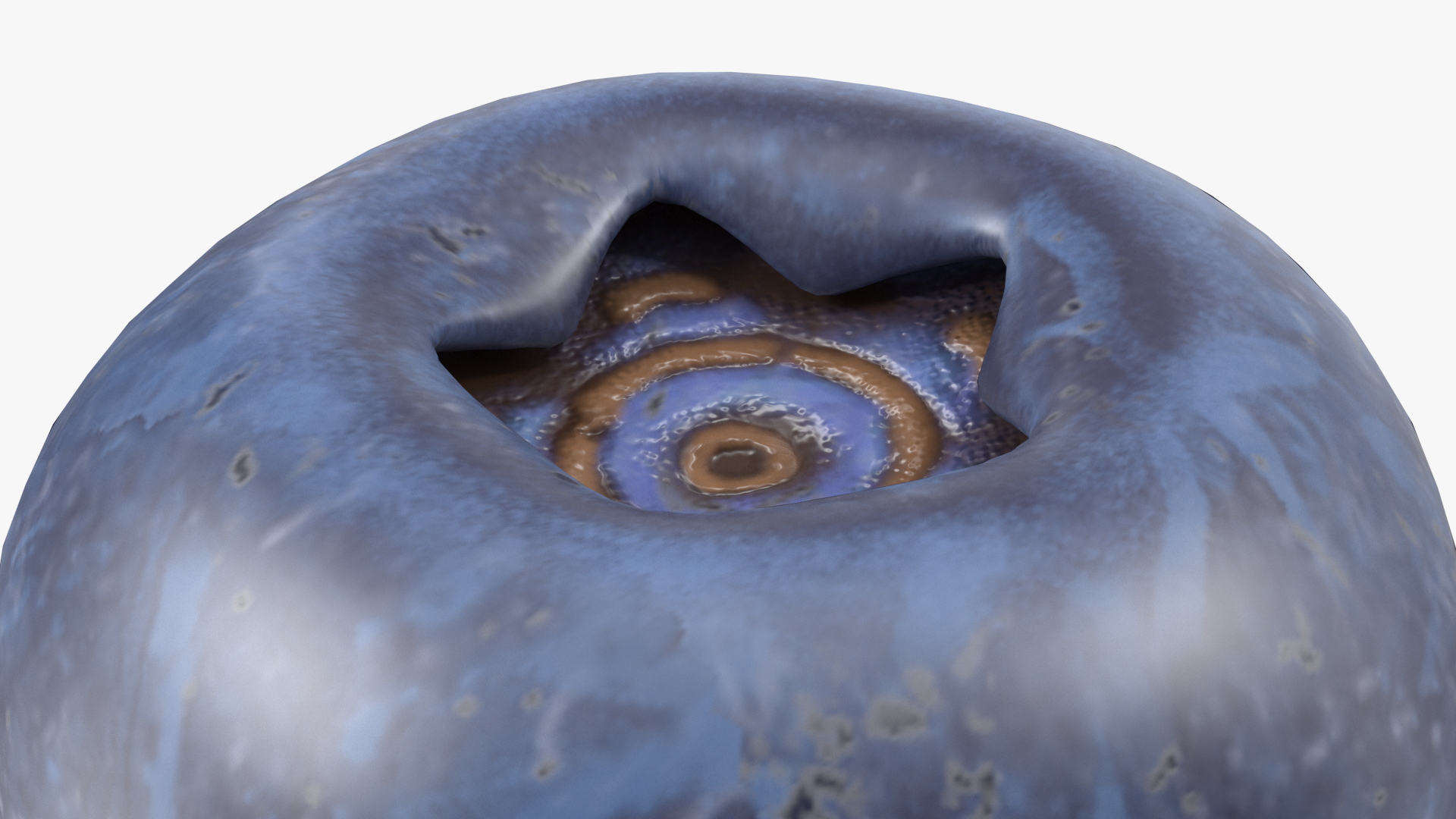 3D Single Blueberry