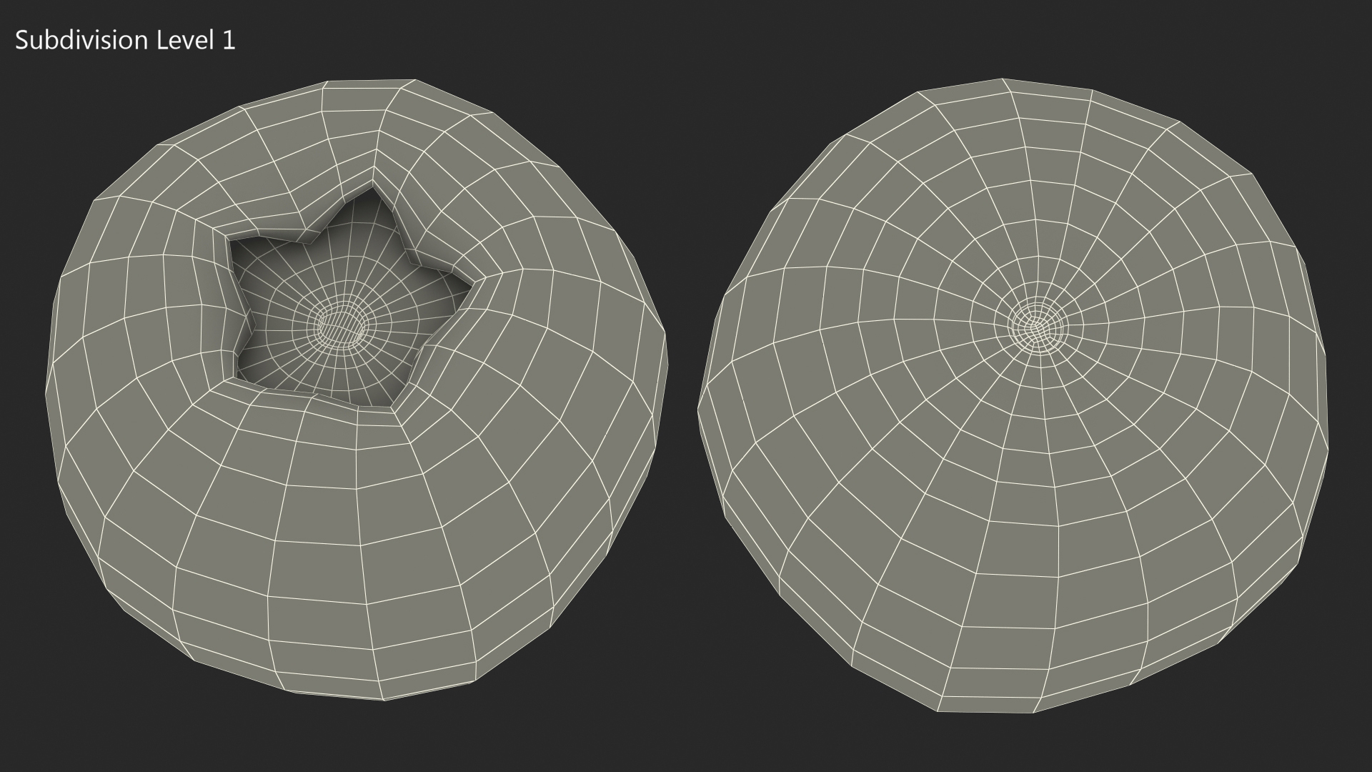 3D Single Blueberry