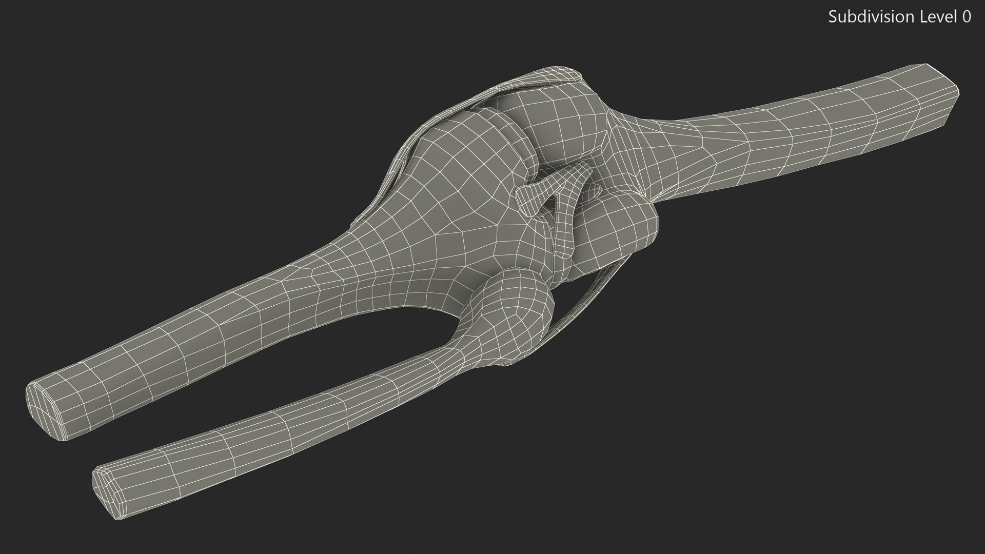 Knee Joint Model Unbent State 3D model