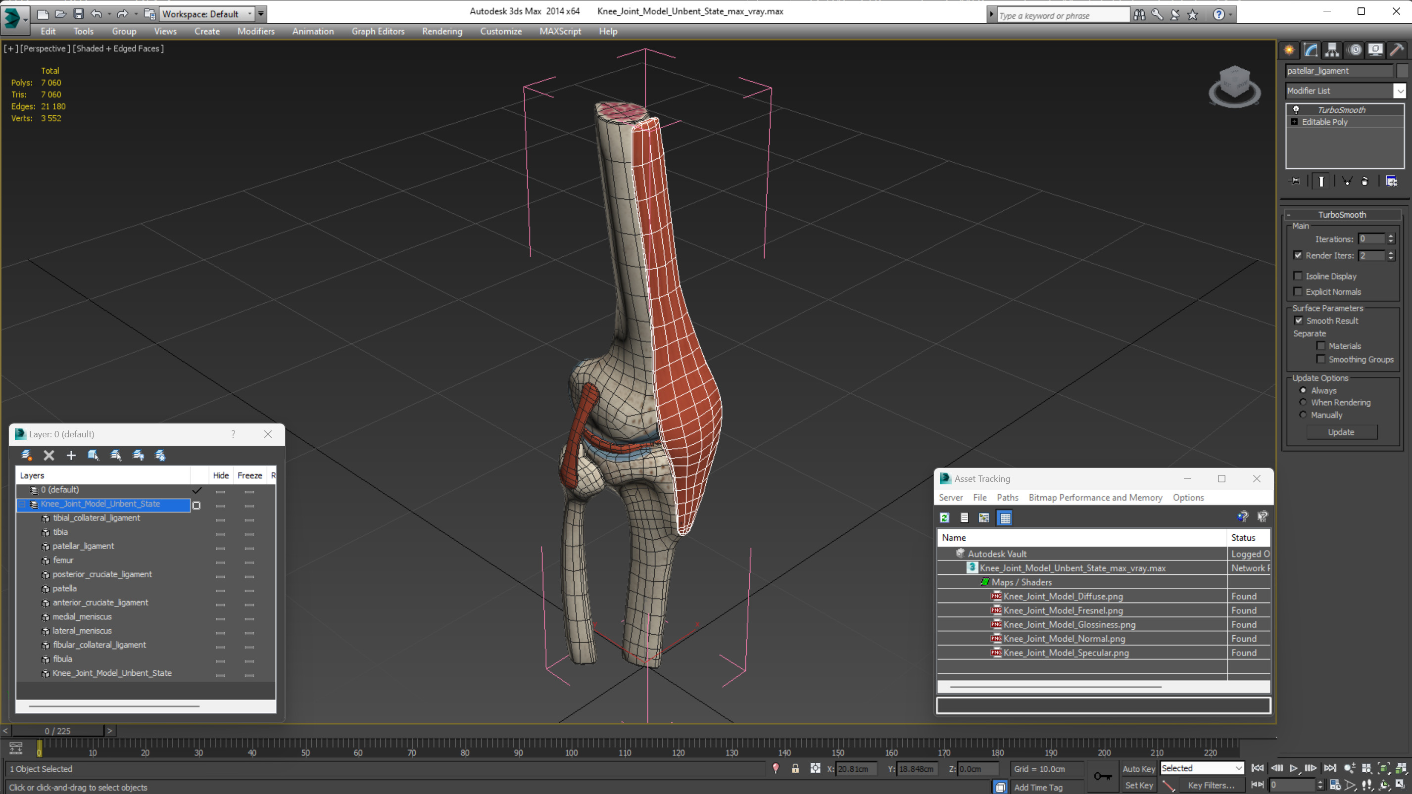 Knee Joint Model Unbent State 3D model