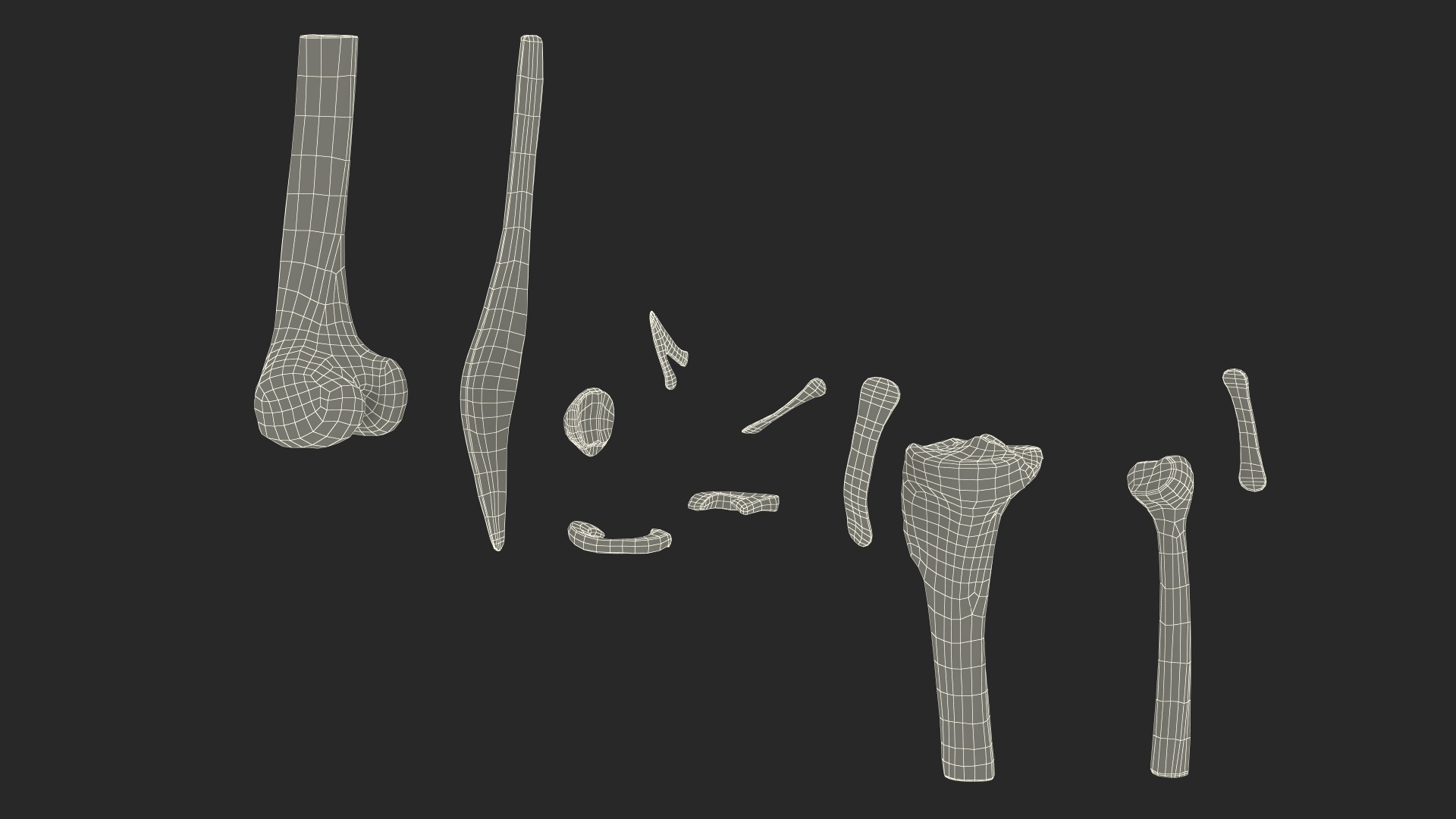 Knee Joint Model Unbent State 3D model