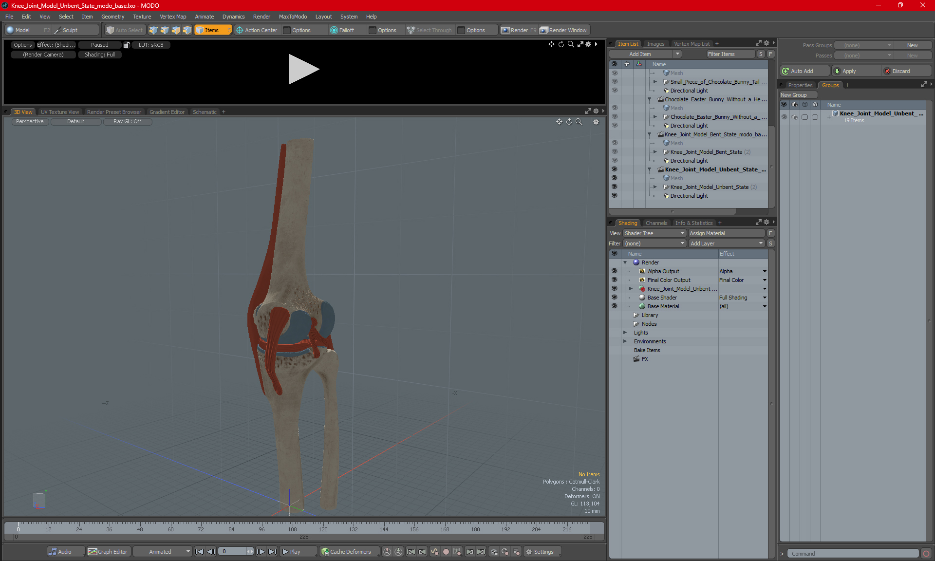 Knee Joint Model Unbent State 3D model