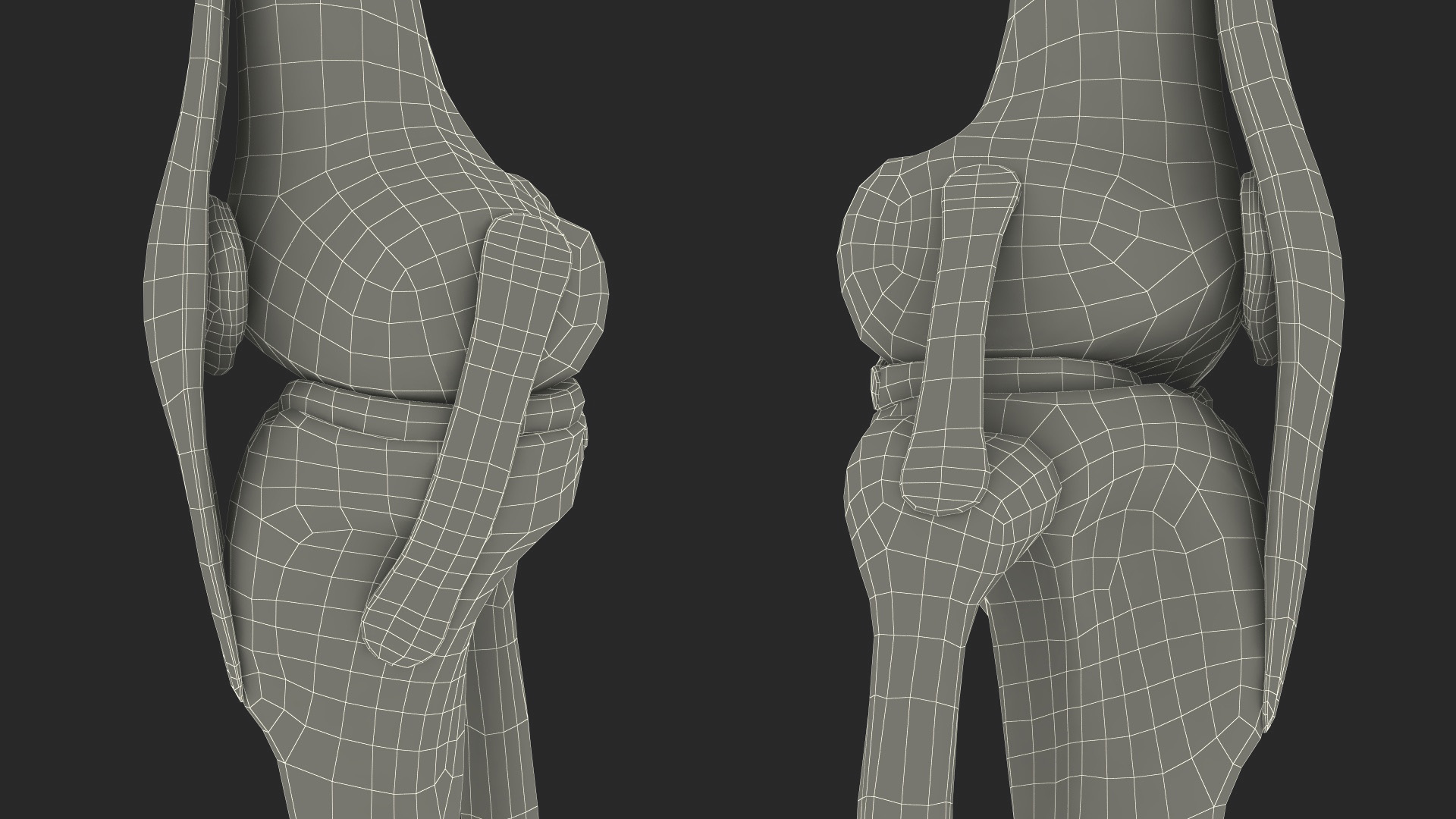 Knee Joint Model Unbent State 3D model