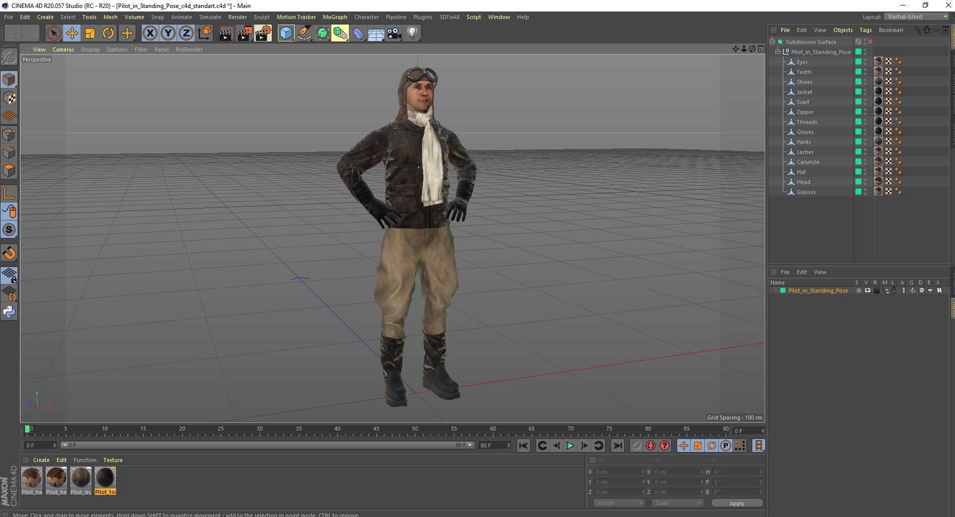 Pilot in Standing Pose 3D