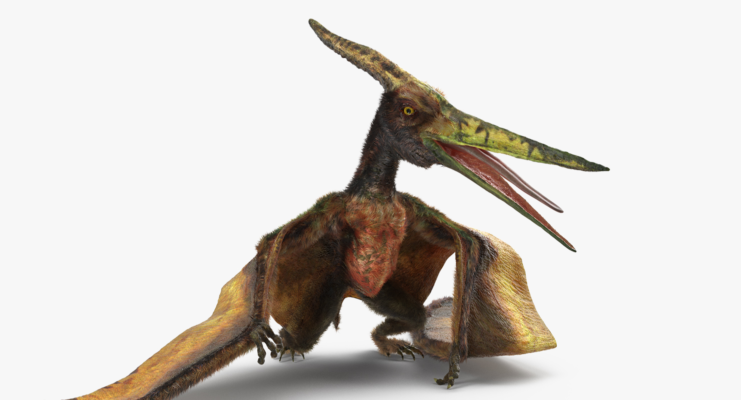 3D model Pteranodon Flying Carnivorous Reptile Standing Pose with Fur