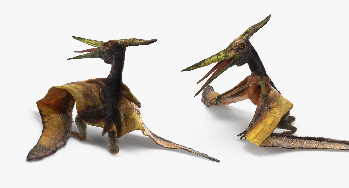 3D model Pteranodon Flying Carnivorous Reptile Standing Pose with Fur
