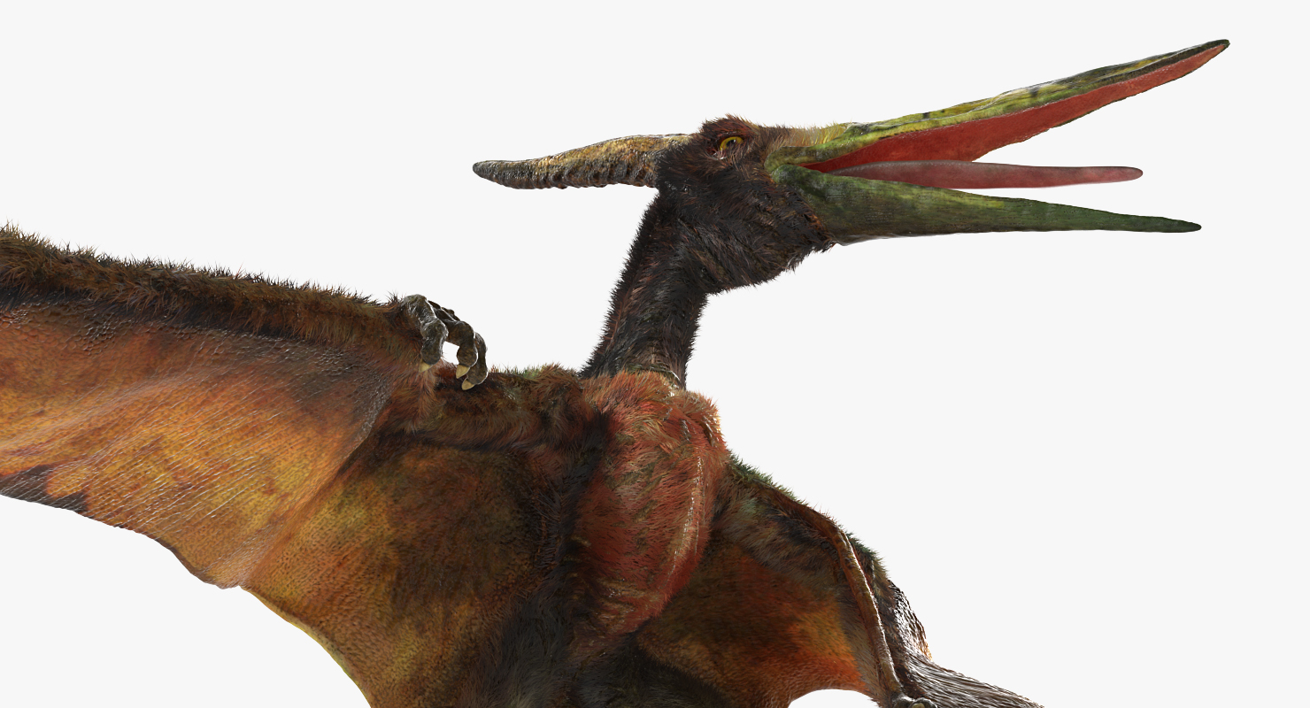 3D model Pteranodon Flying Carnivorous Reptile Standing Pose with Fur