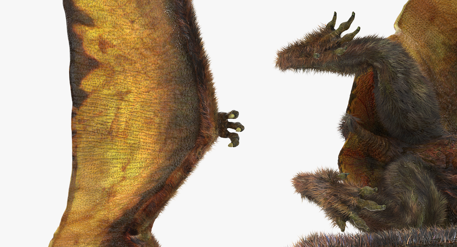 3D model Pteranodon Flying Carnivorous Reptile Standing Pose with Fur