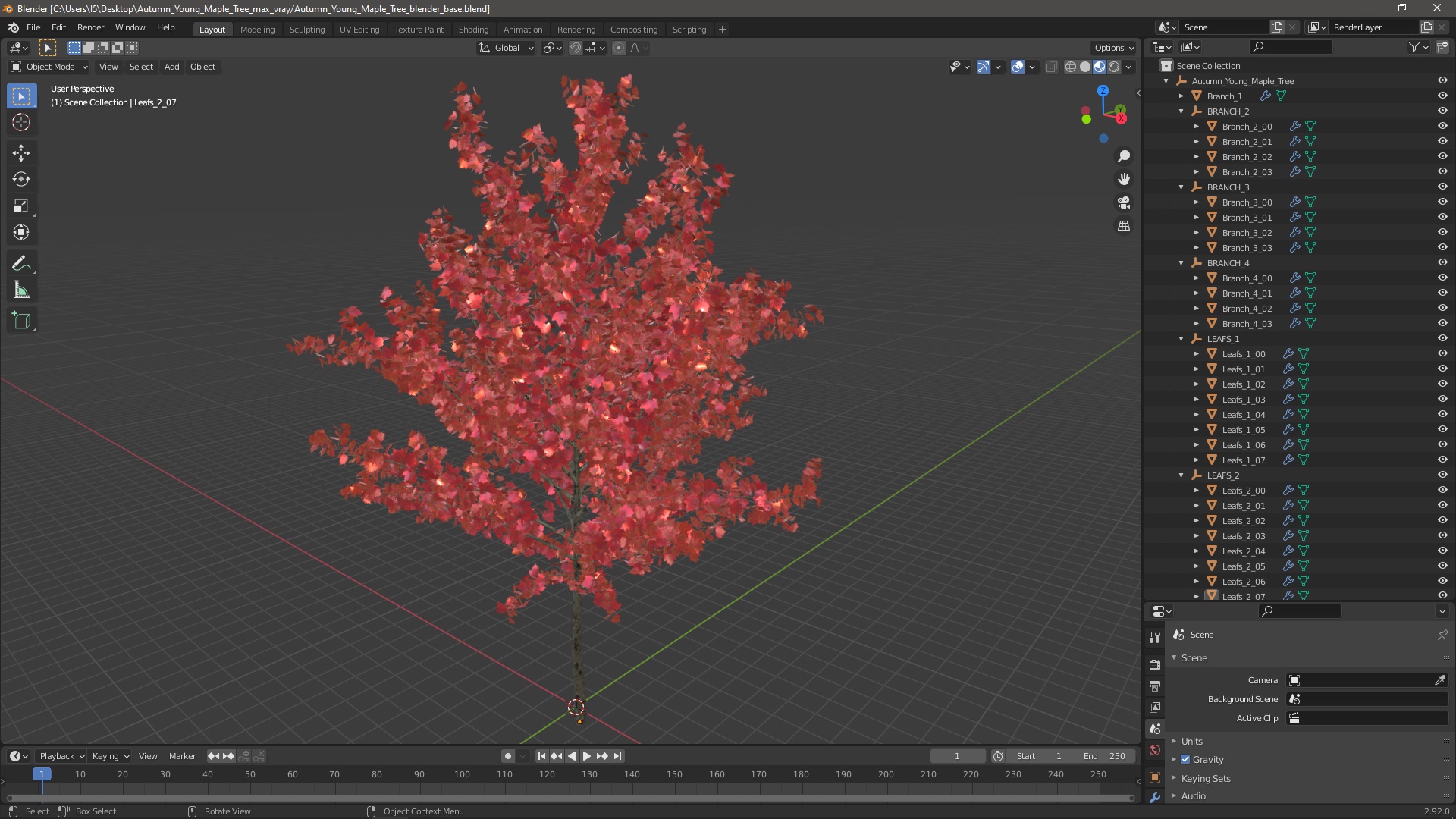 3D Autumn Young Maple Tree model
