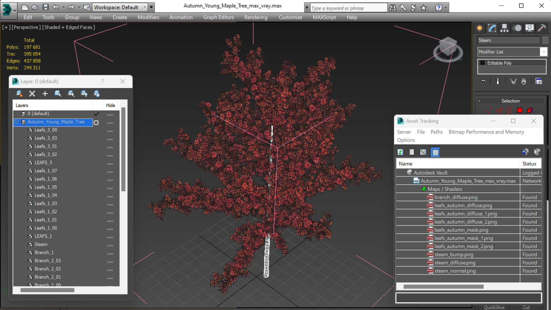 3D Autumn Young Maple Tree model