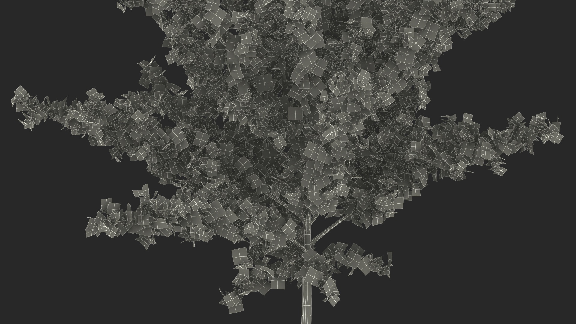 3D Autumn Young Maple Tree model