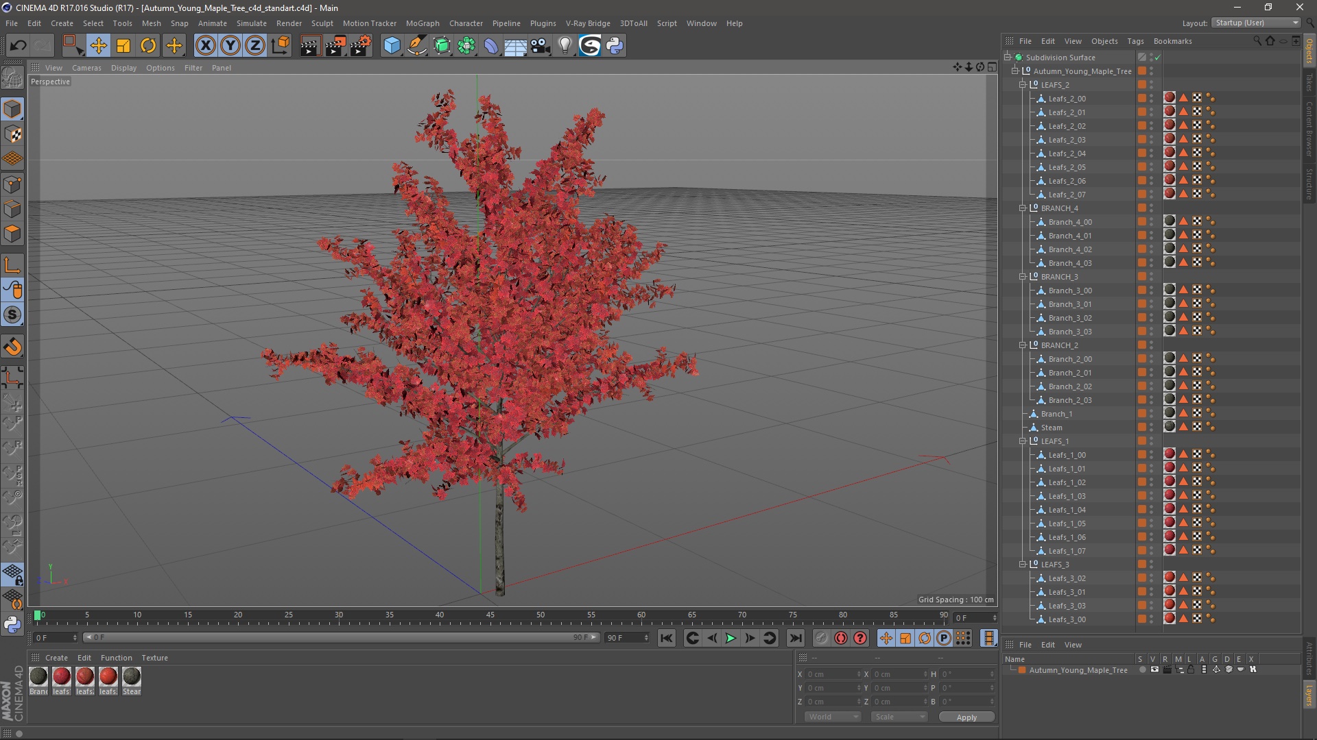 3D Autumn Young Maple Tree model