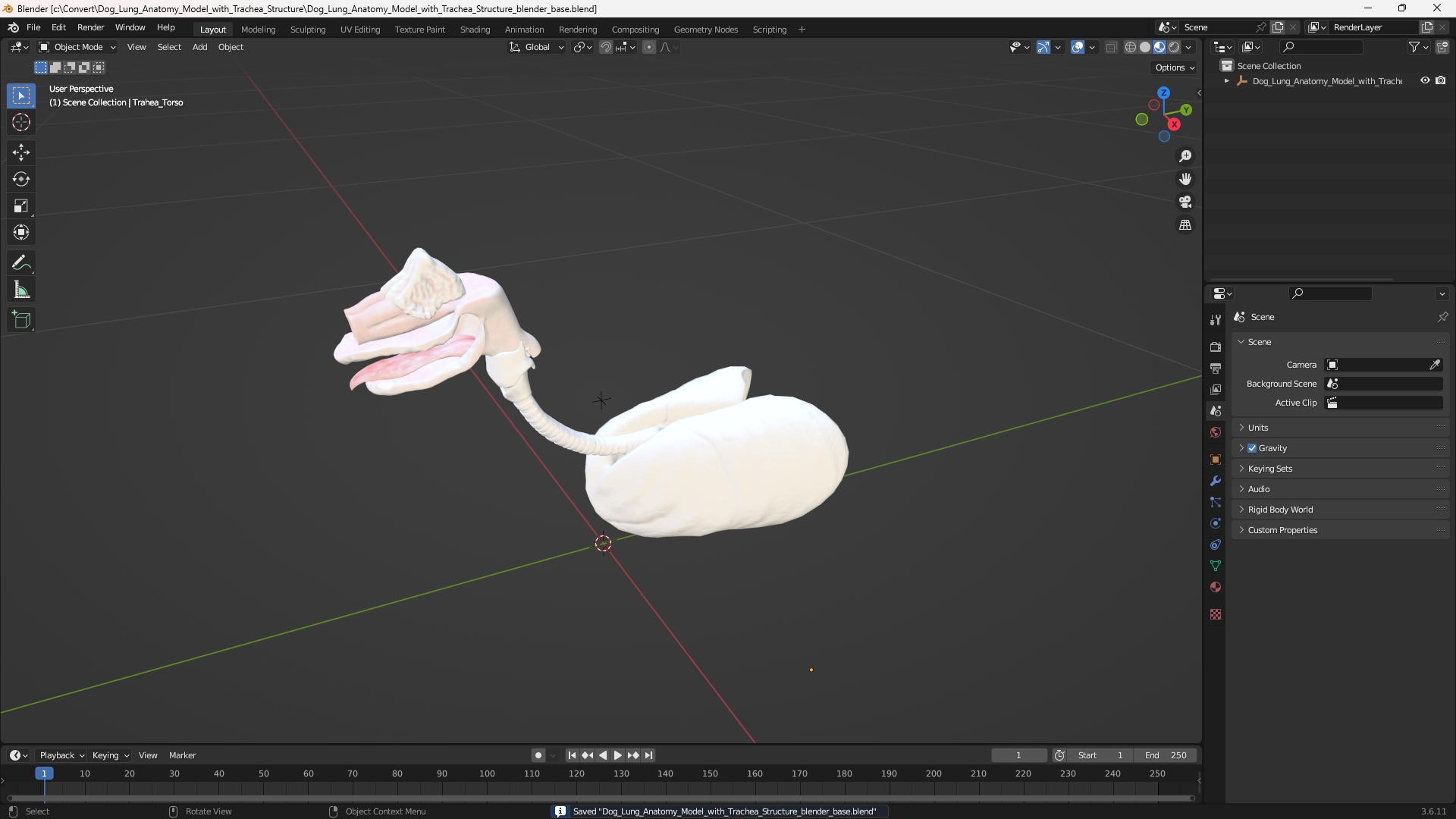 Dog Lung Anatomy Model with Trachea Structure - view 10