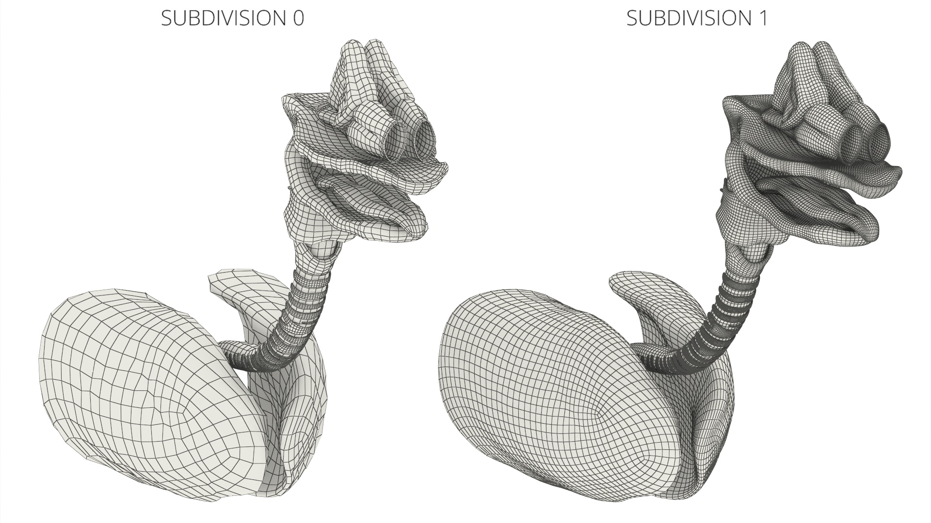 Dog Lung Anatomy Model with Trachea Structure - view 7