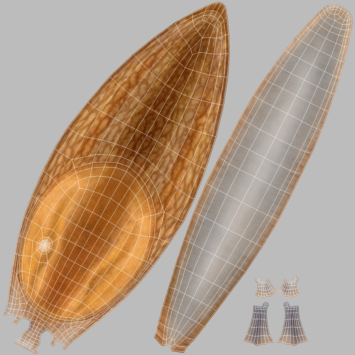 Slug Dusky Arion Rigged for Maya 3D