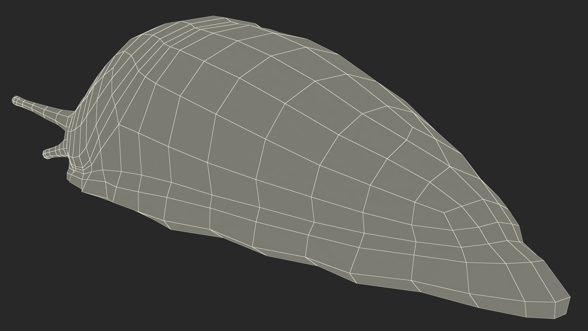 Slug Dusky Arion Rigged for Maya 3D