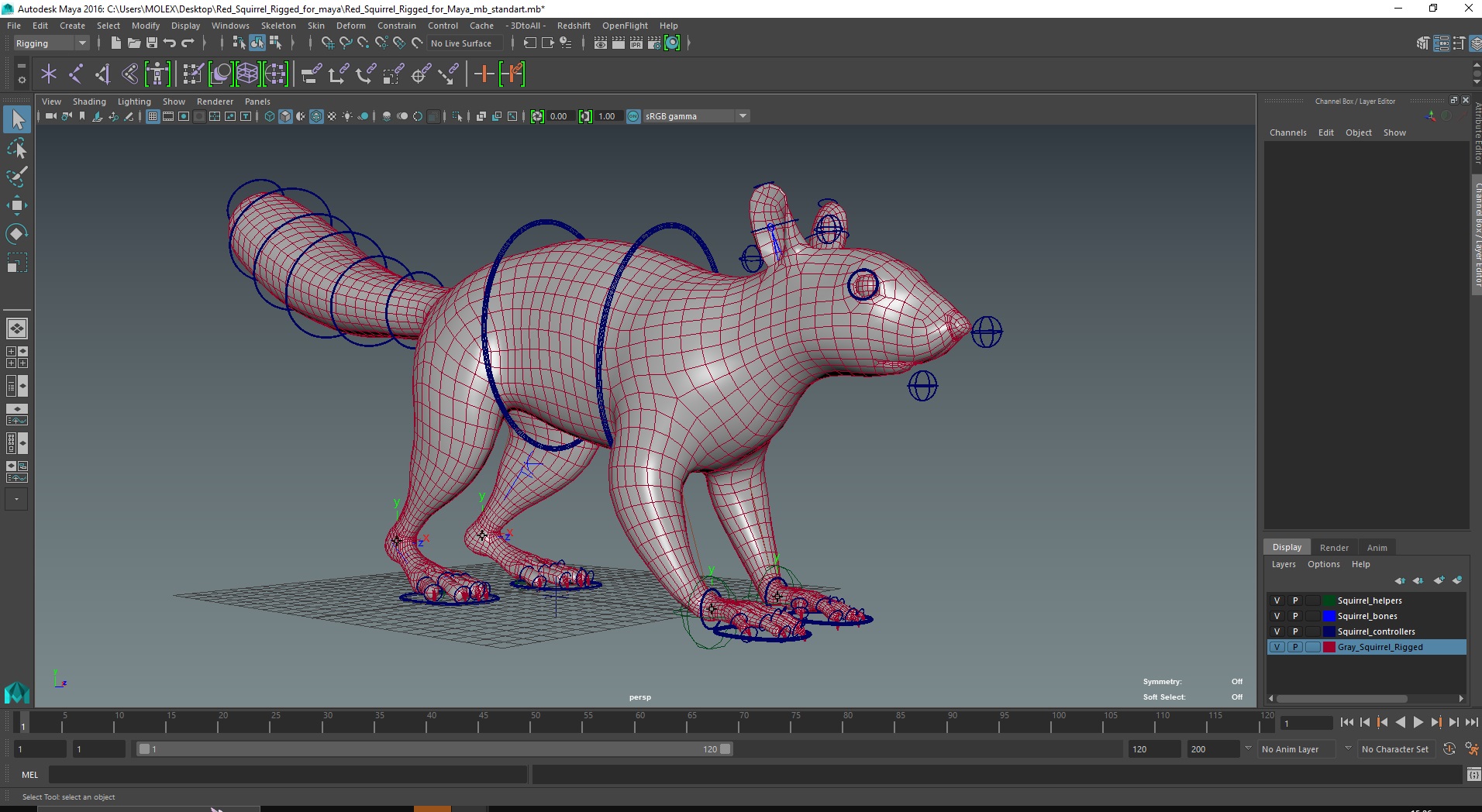 3D Red Squirrel Rigged for Maya model