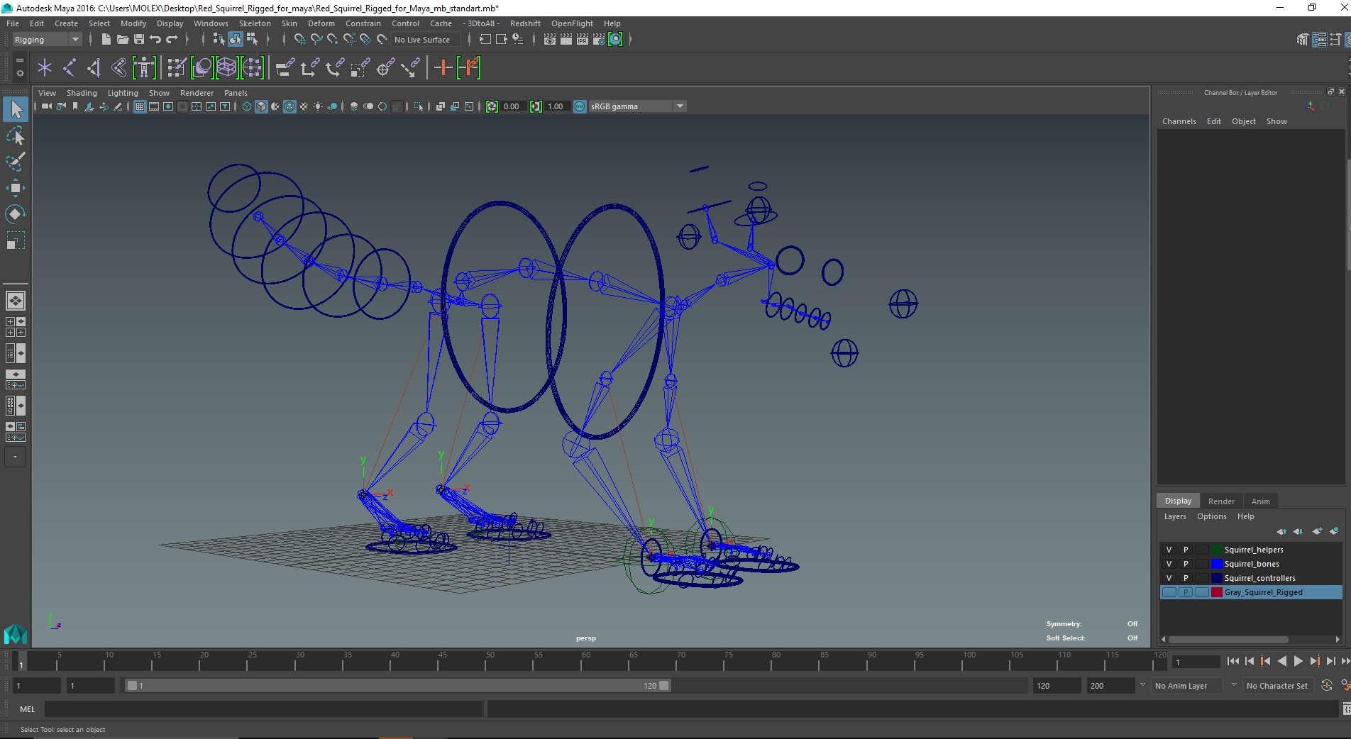 3D Red Squirrel Rigged for Maya model