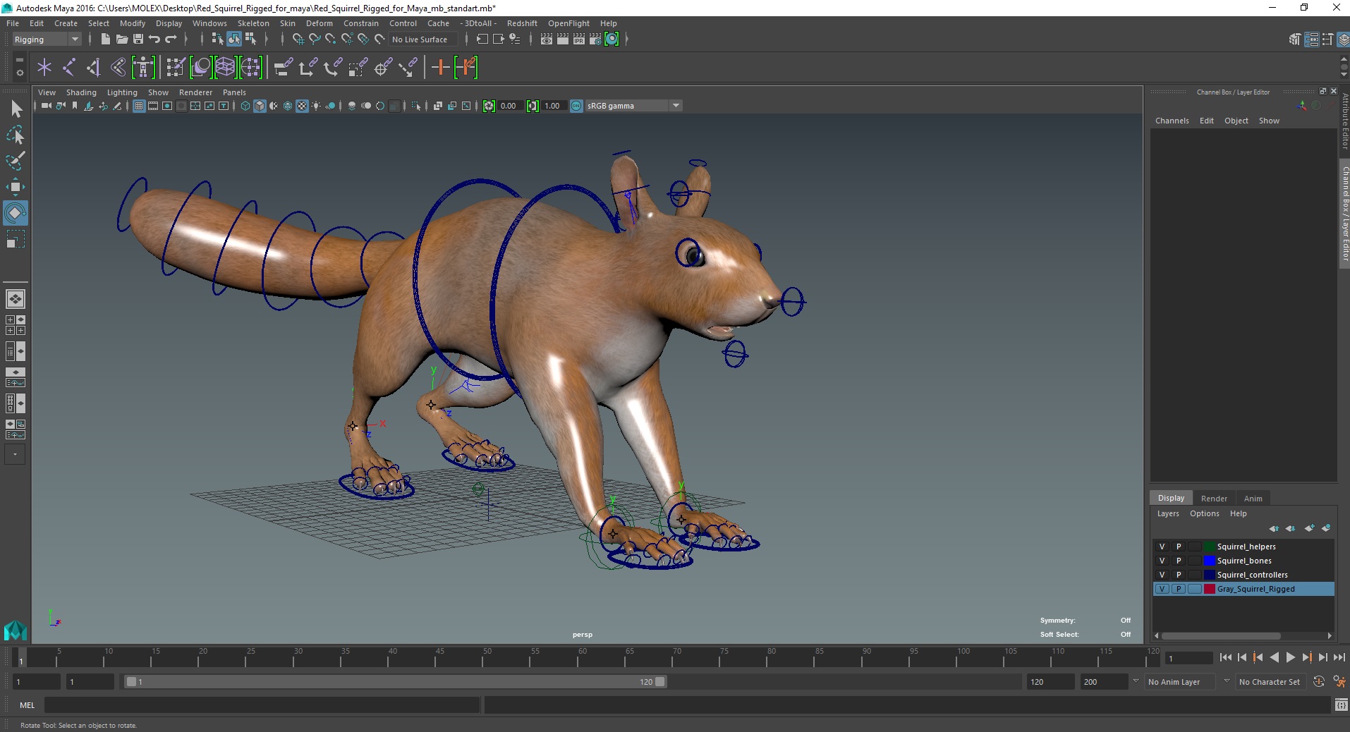 3D Red Squirrel Rigged for Maya model