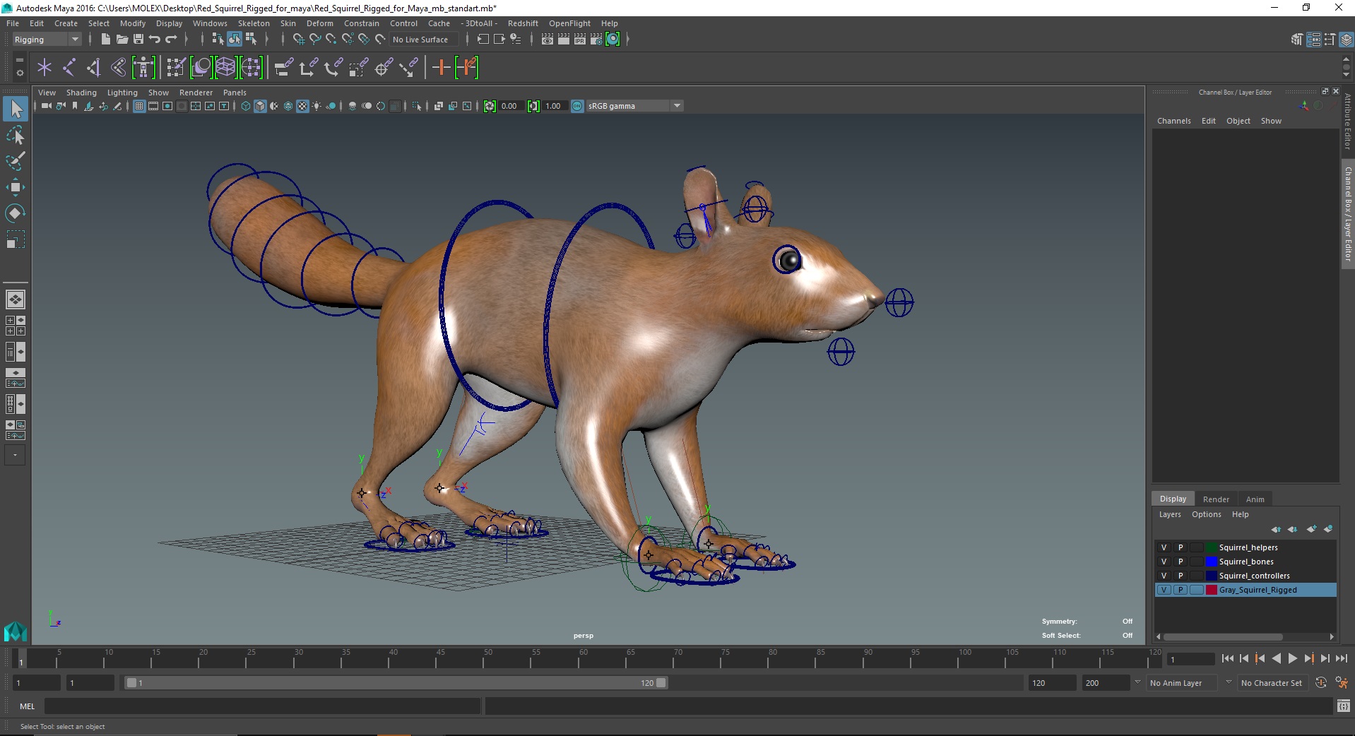 3D Red Squirrel Rigged for Maya model