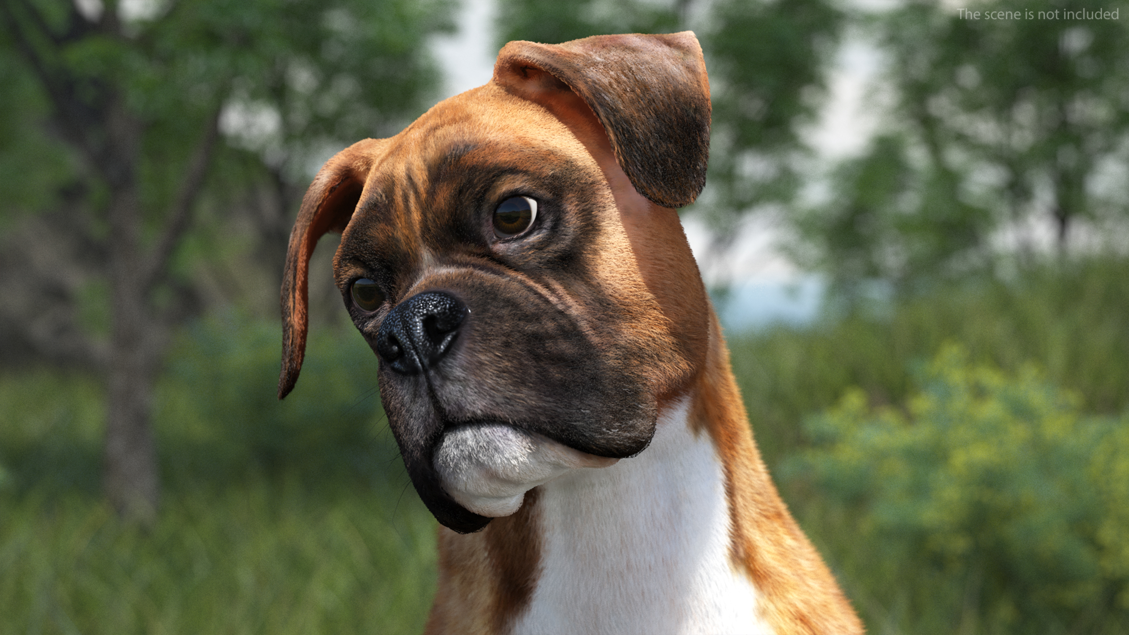 3D model Sitting Dog Boxer Tiger Colored Fur