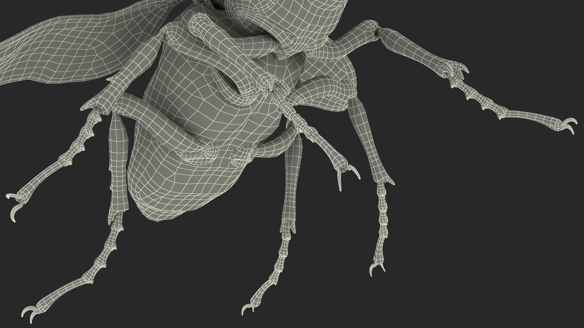 Lucanus Cervus Stag Beetle Flying with Fur 3D
