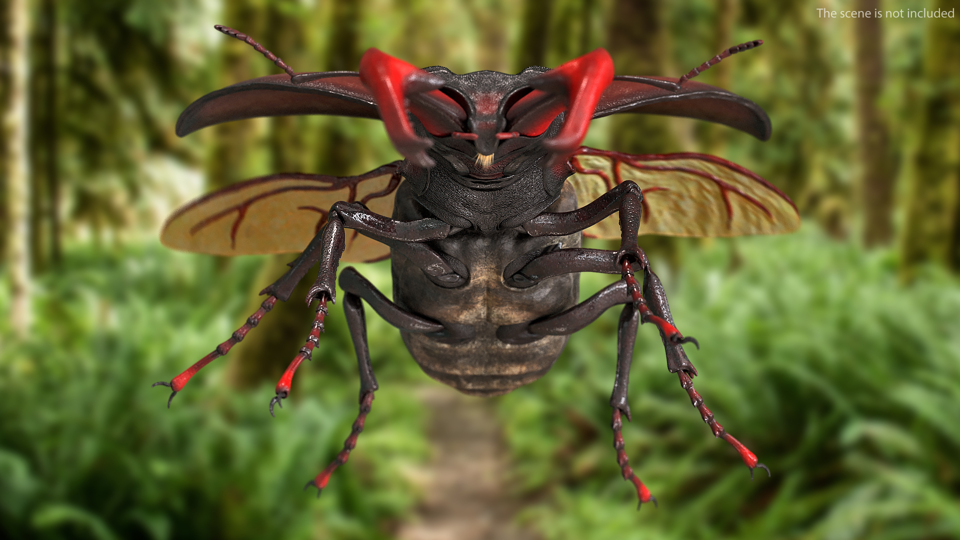 Lucanus Cervus Stag Beetle Flying with Fur 3D