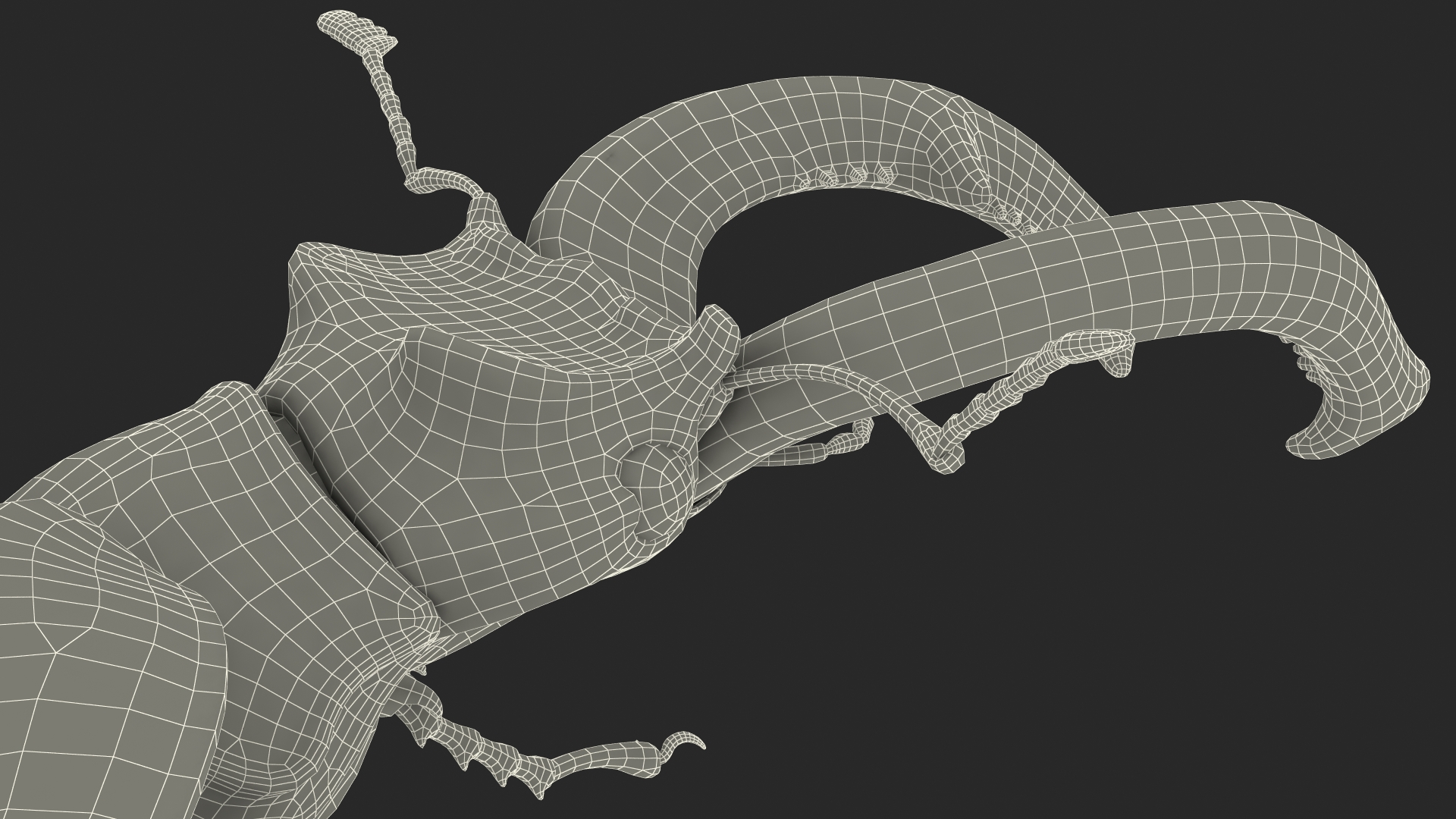 Lucanus Cervus Stag Beetle Flying with Fur 3D