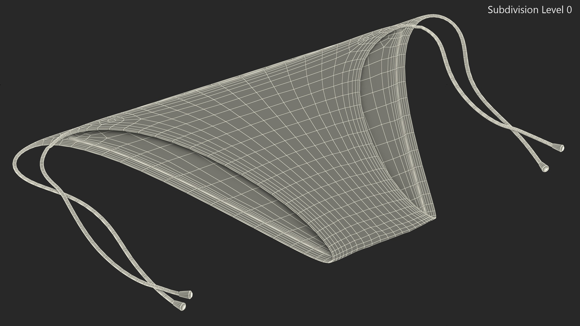 3D Tie Side Bikini Bottoms model