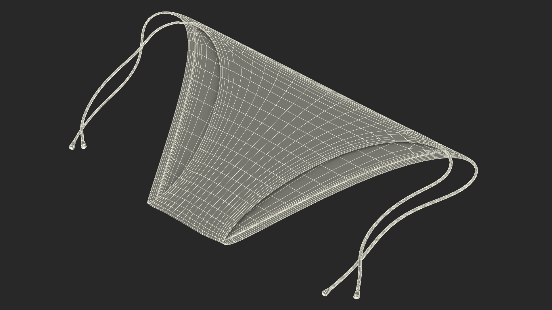 3D Tie Side Bikini Bottoms model