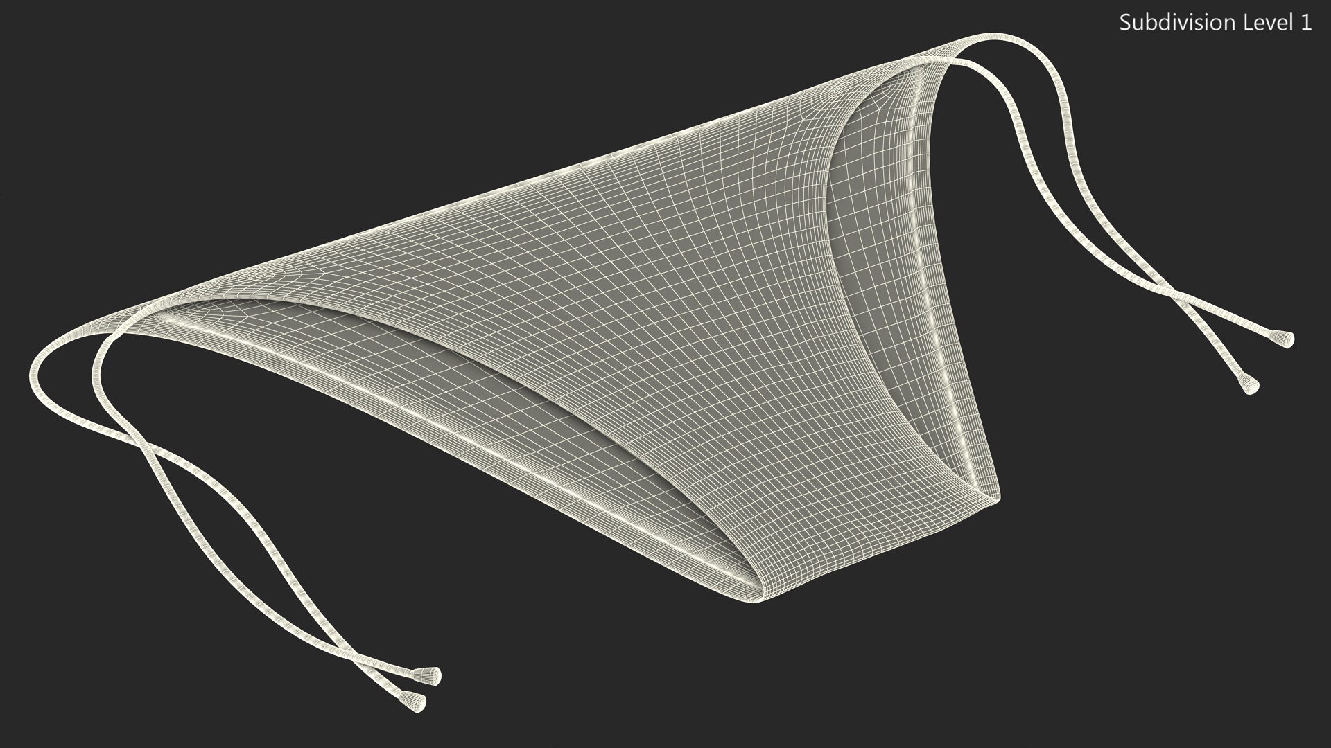 3D Tie Side Bikini Bottoms model
